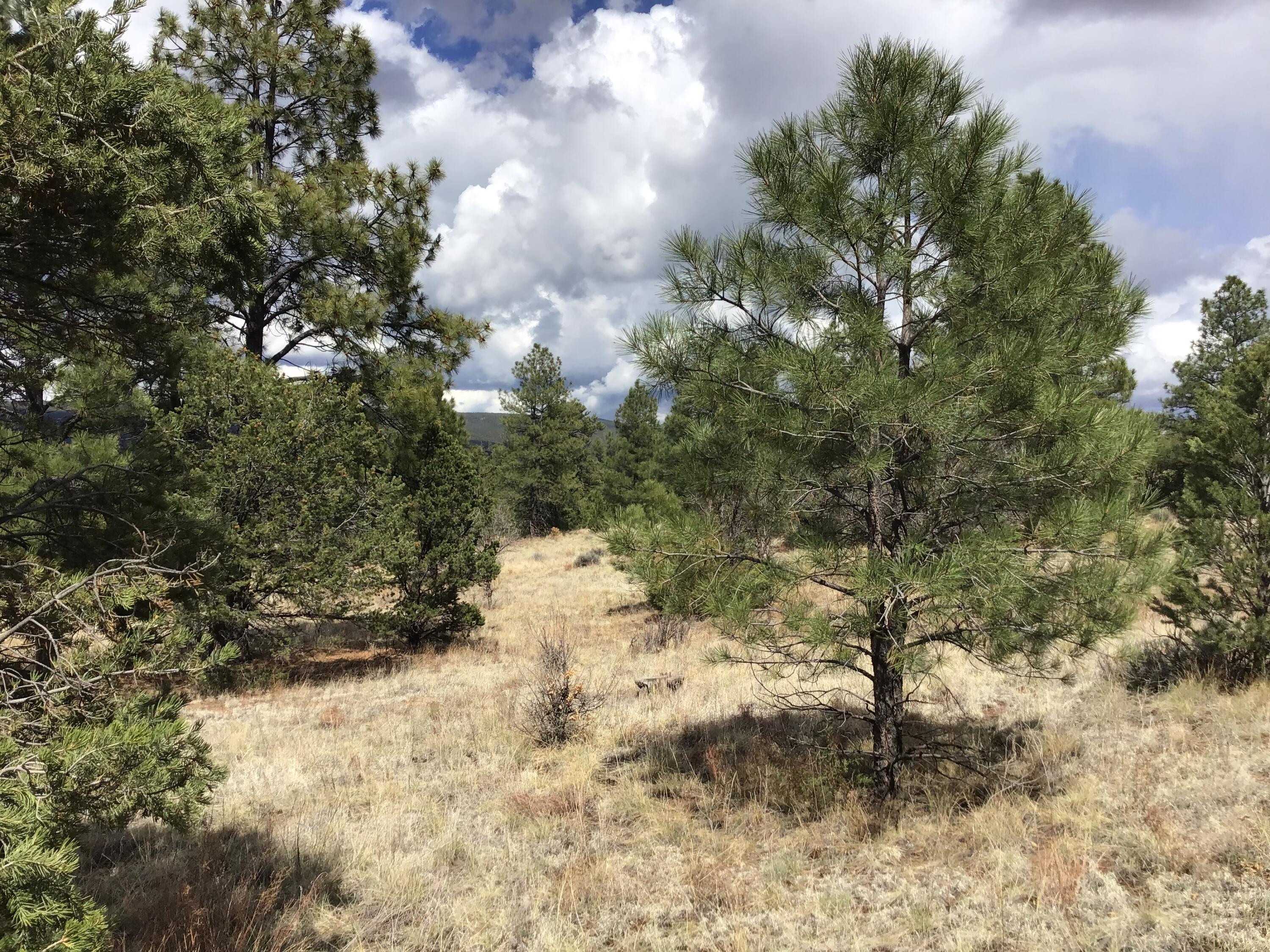 Lot 28 Monte Vista Lane, Ramah, New Mexico image 24