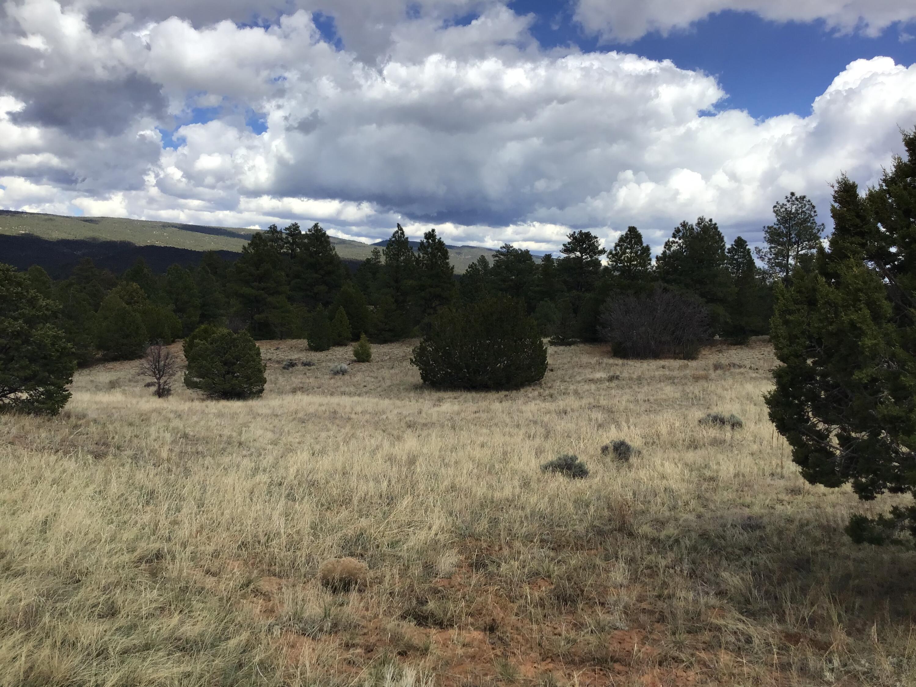 Lot 28 Monte Vista Lane, Ramah, New Mexico image 41