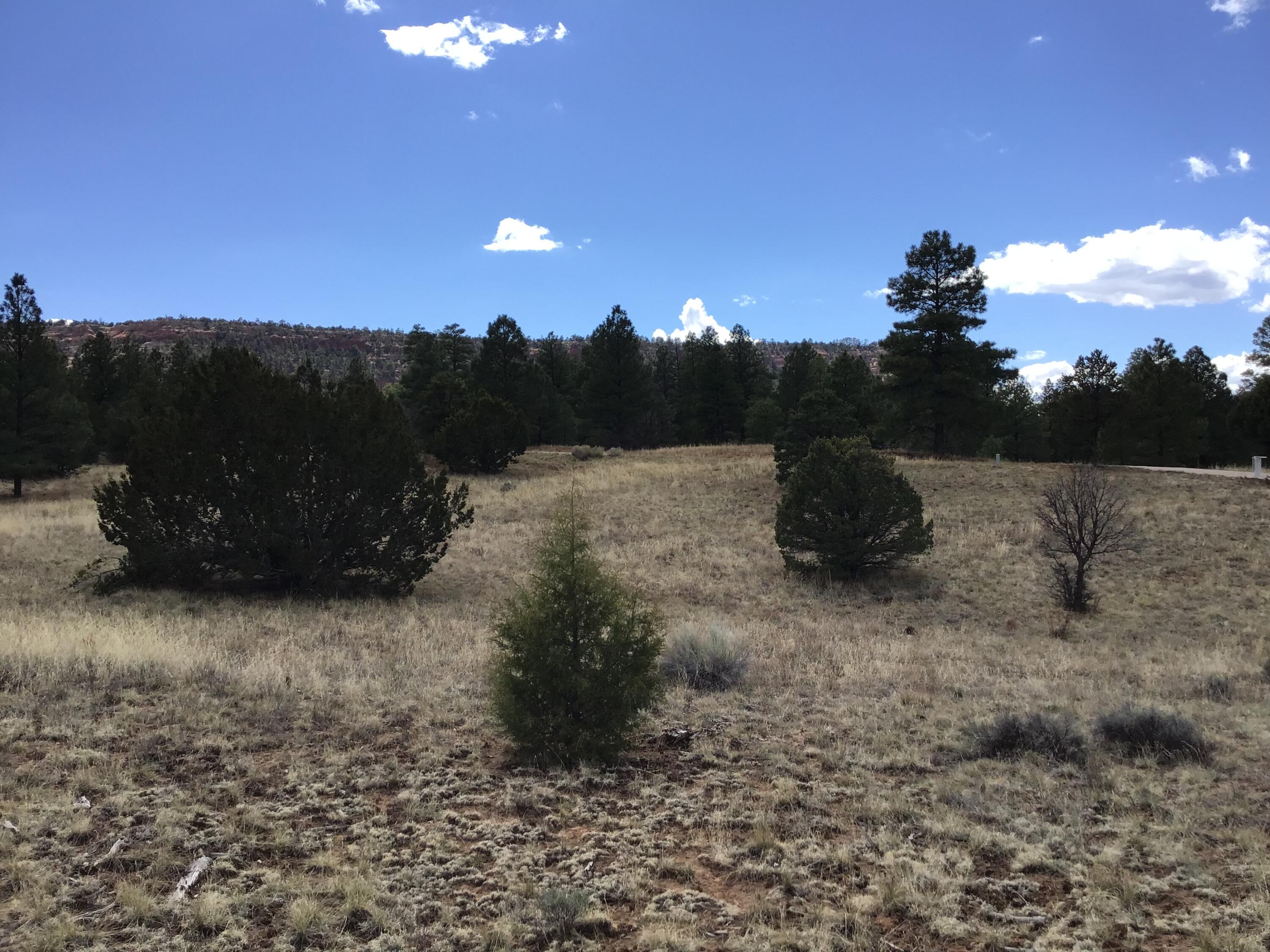 Lot 28 Monte Vista Lane, Ramah, New Mexico image 36