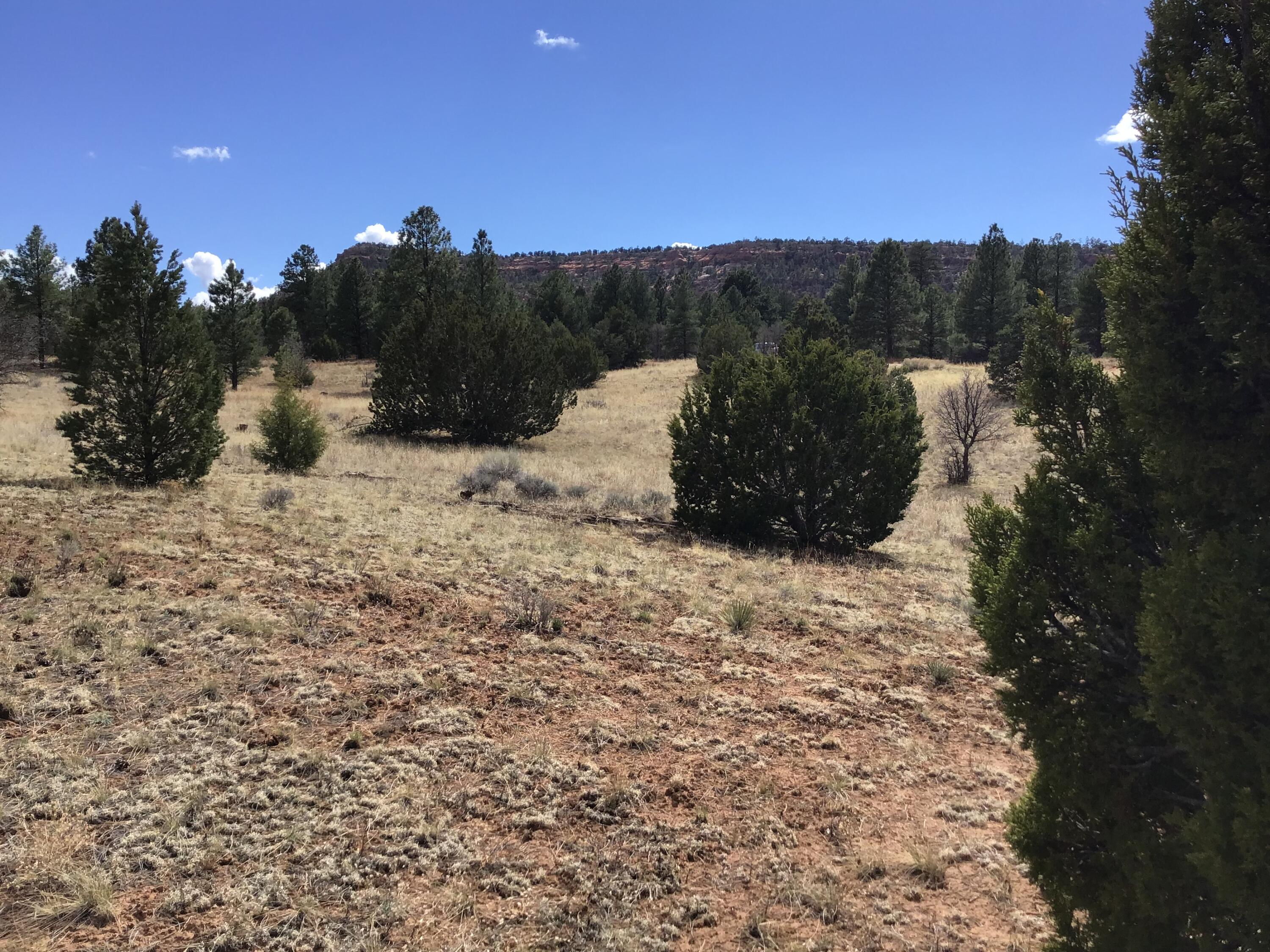 Lot 28 Monte Vista Lane, Ramah, New Mexico image 35