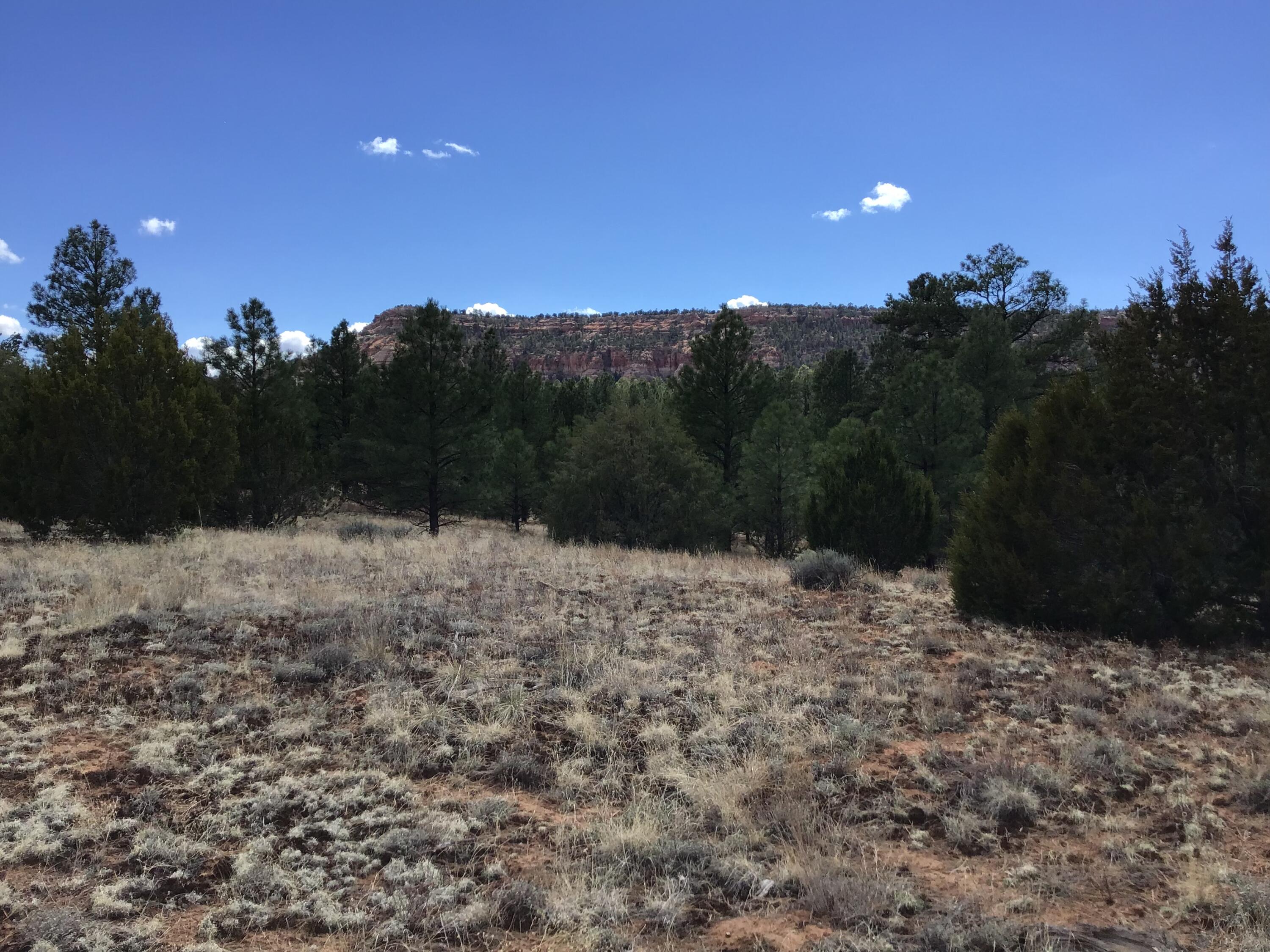 Lot 28 Monte Vista Lane, Ramah, New Mexico image 1