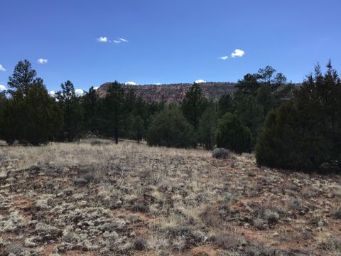 Vacant Land For Sale - LOT 28 Monte Vista Lane<br/> Ramah, NM 87321