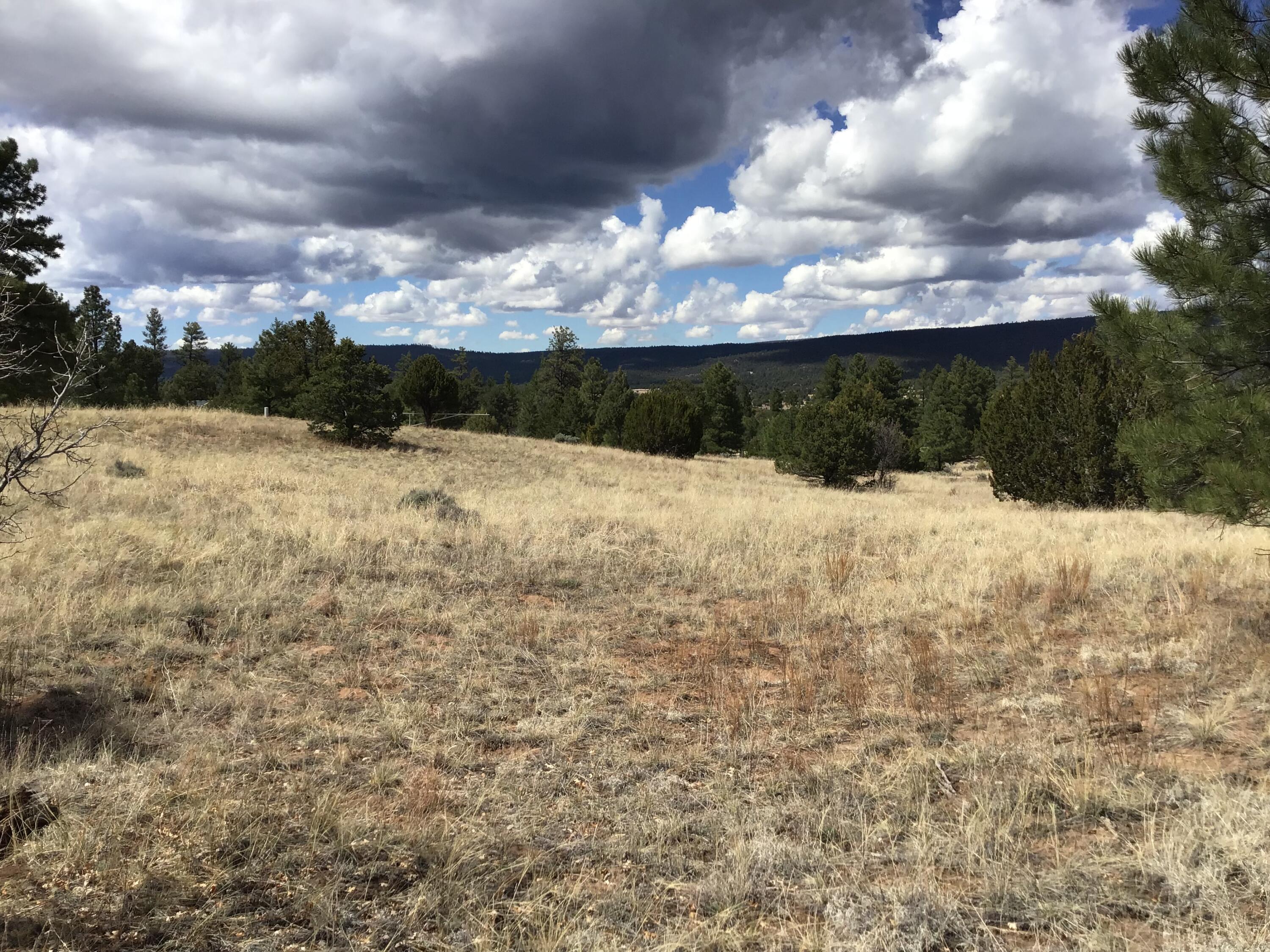 Lot 28 Monte Vista Lane, Ramah, New Mexico image 25