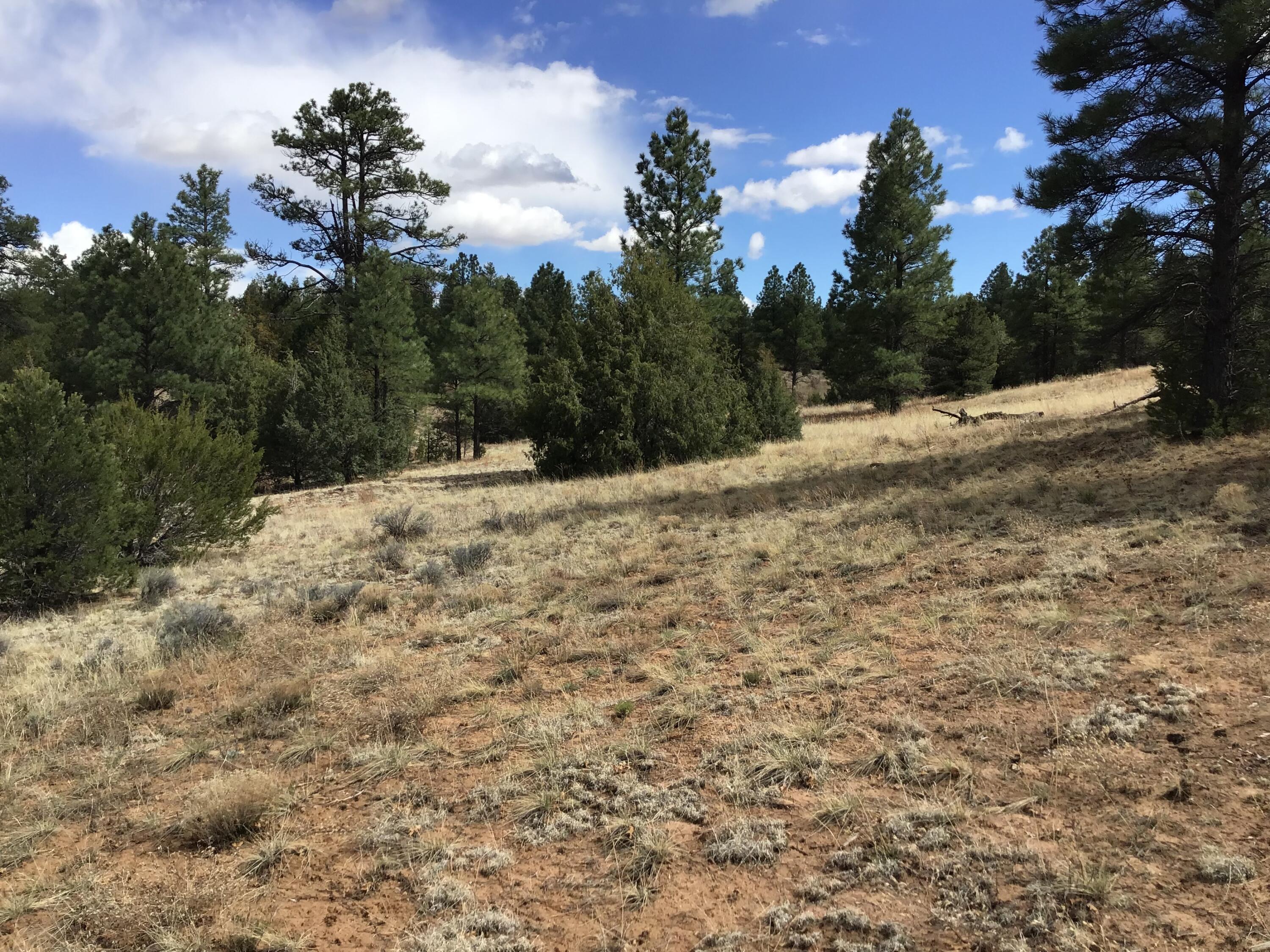Lot 28 Monte Vista Lane, Ramah, New Mexico image 33
