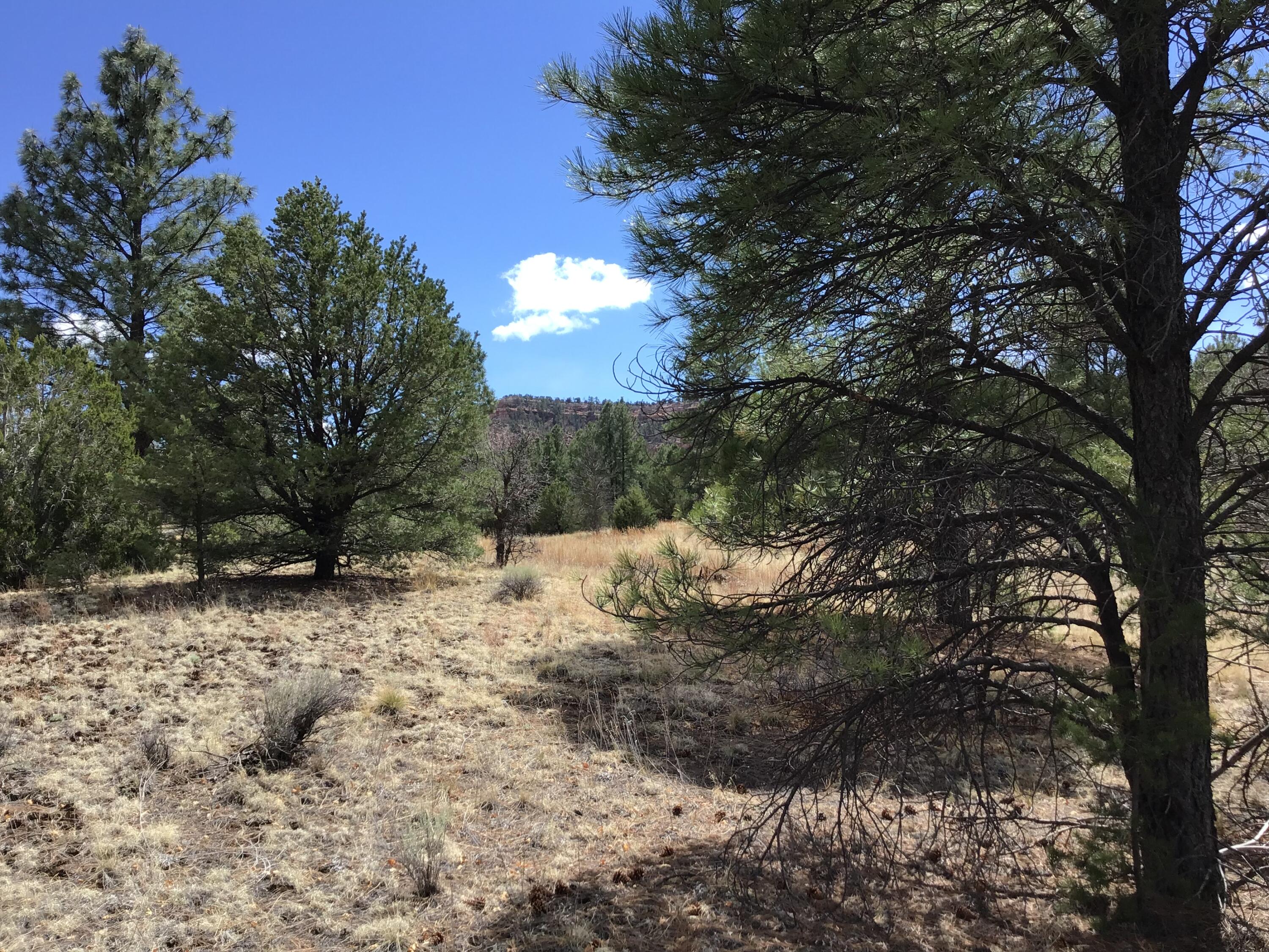Lot 28 Monte Vista Lane, Ramah, New Mexico image 21