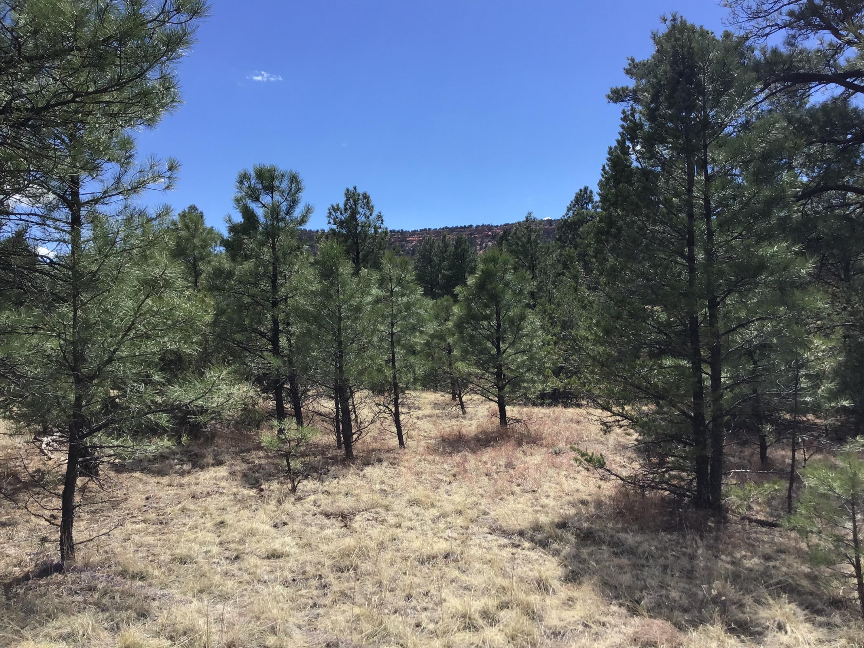 Lot 28 Monte Vista Lane, Ramah, New Mexico image 7