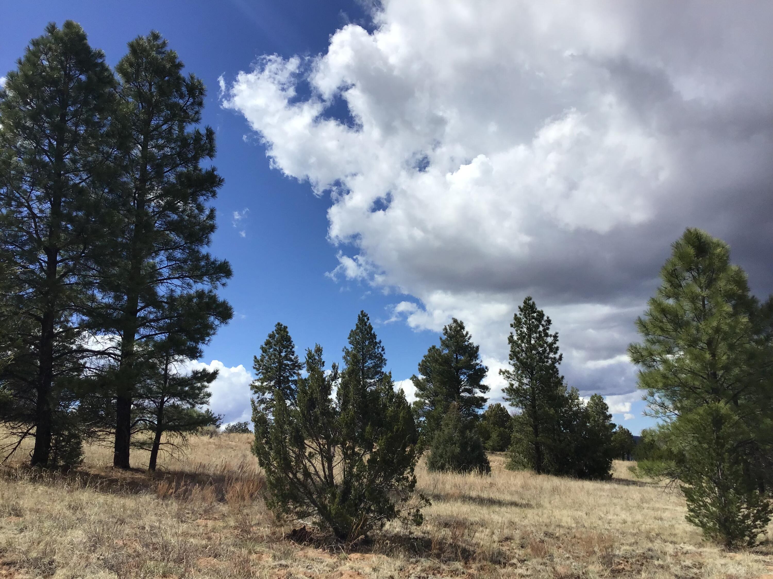 Lot 28 Monte Vista Lane, Ramah, New Mexico image 16