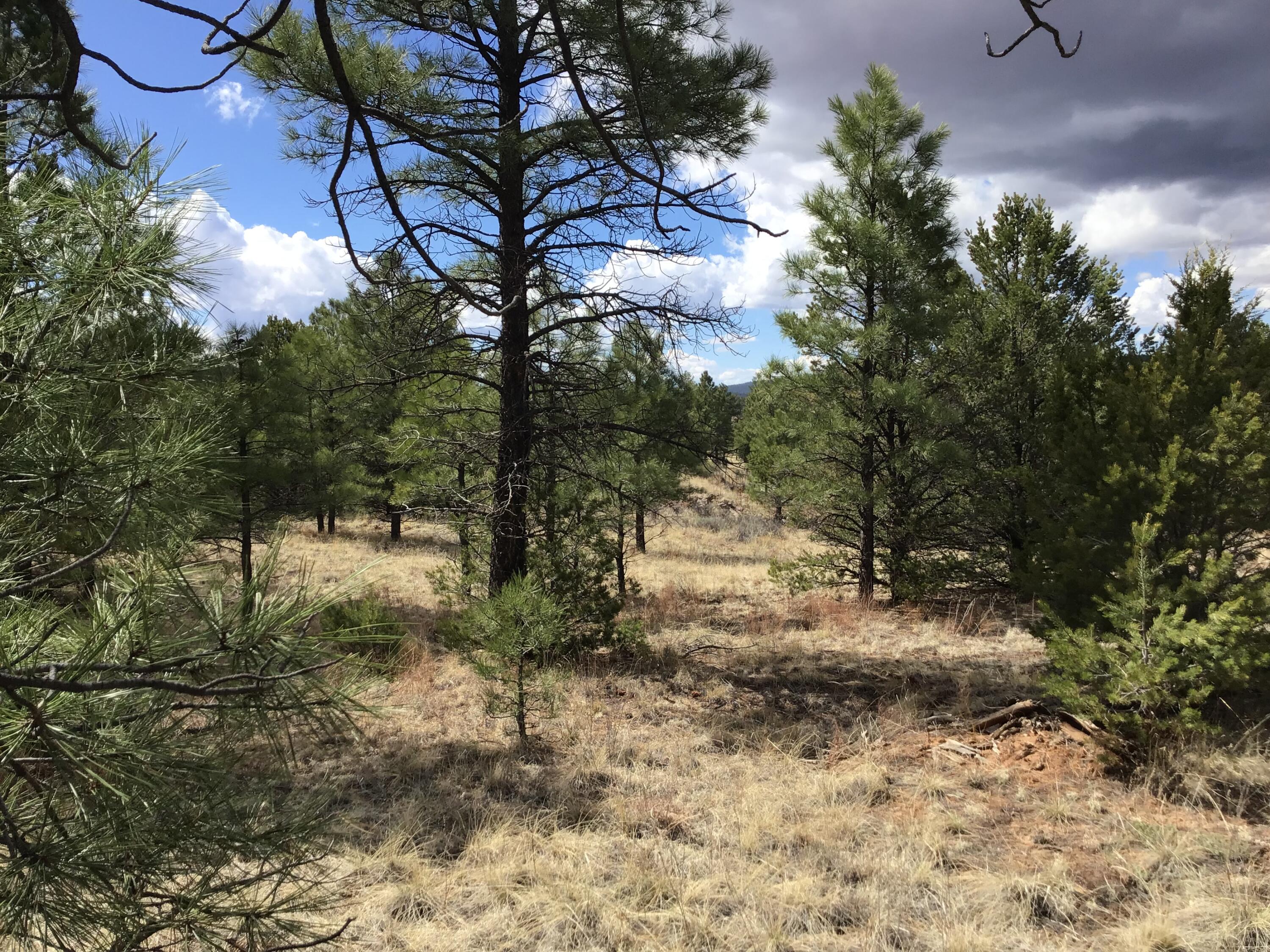 Lot 28 Monte Vista Lane, Ramah, New Mexico image 8