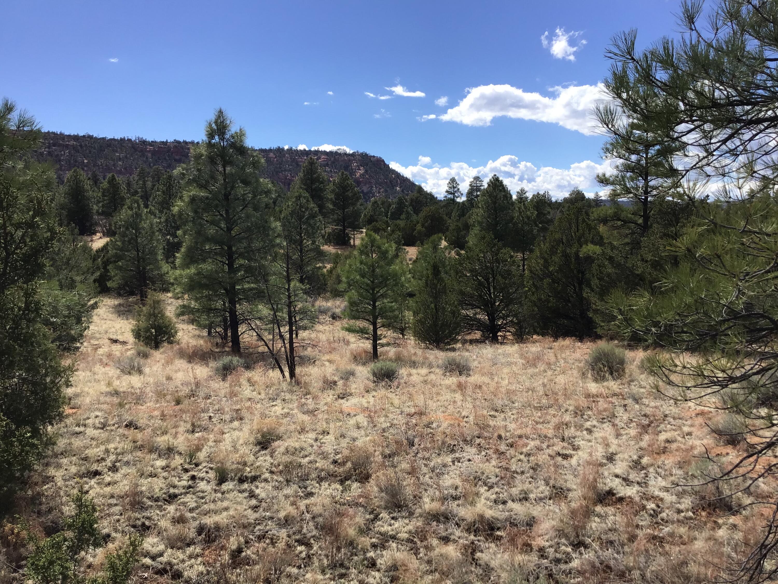 Lot 28 Monte Vista Lane, Ramah, New Mexico image 6