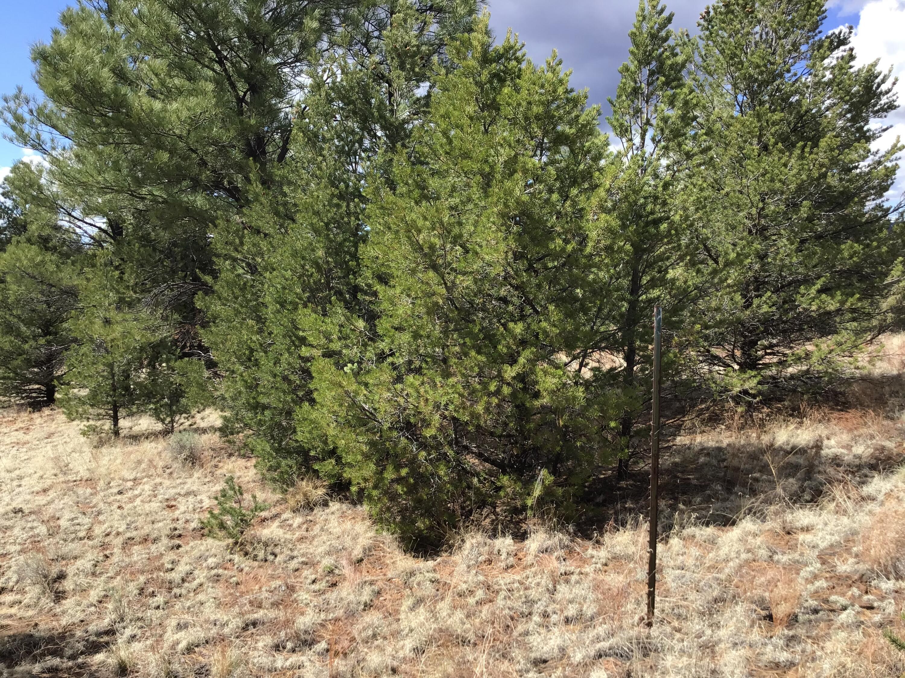 Lot 28 Monte Vista Lane, Ramah, New Mexico image 14
