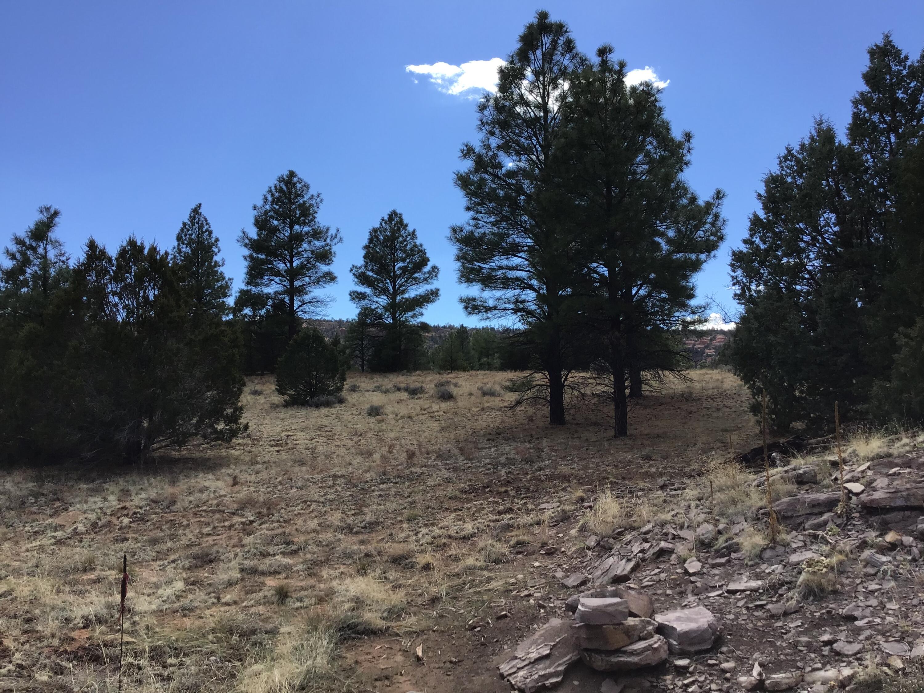 Lot 28 Monte Vista Lane, Ramah, New Mexico image 30
