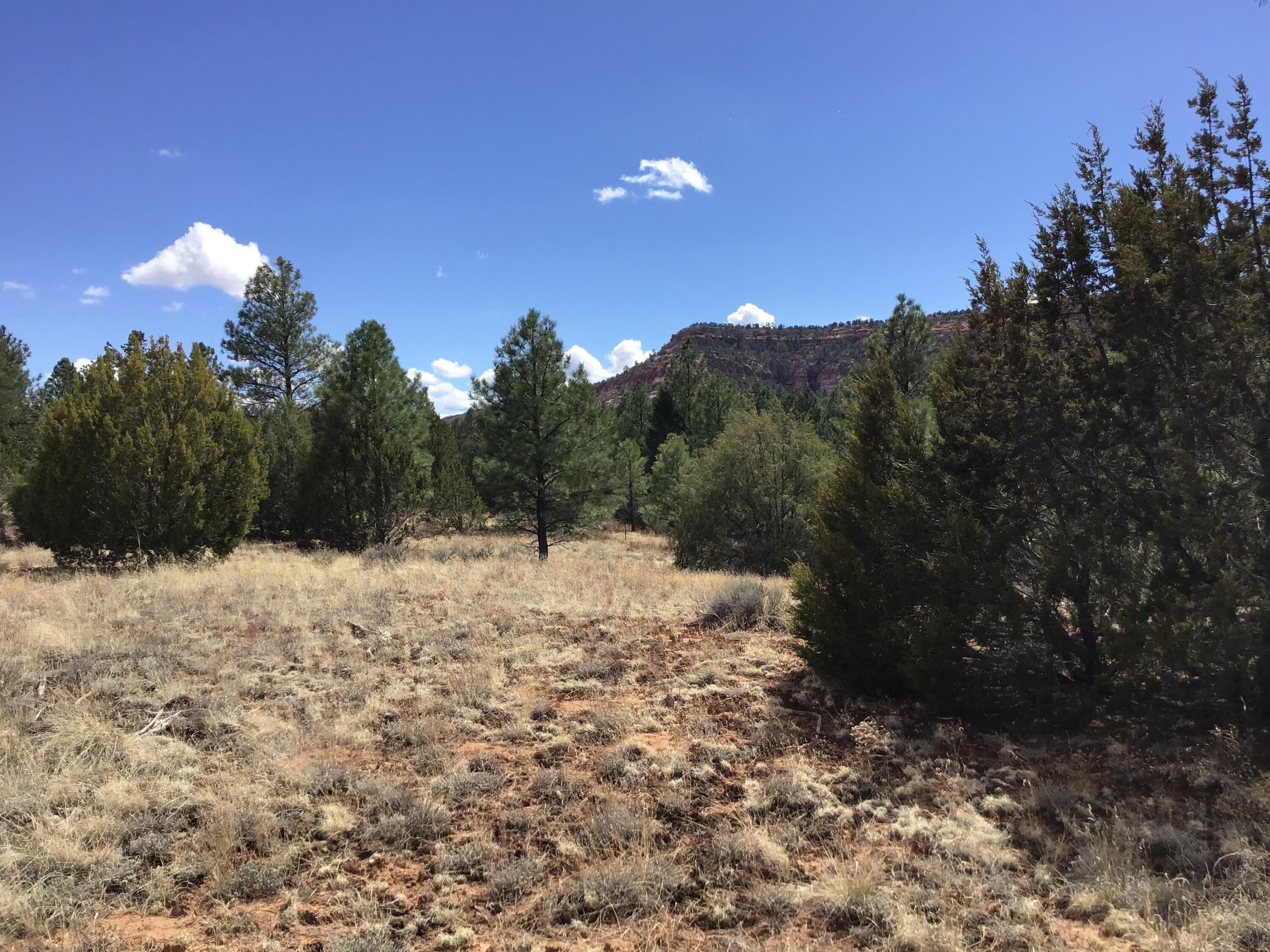 Lot 28 Monte Vista Lane, Ramah, New Mexico image 5