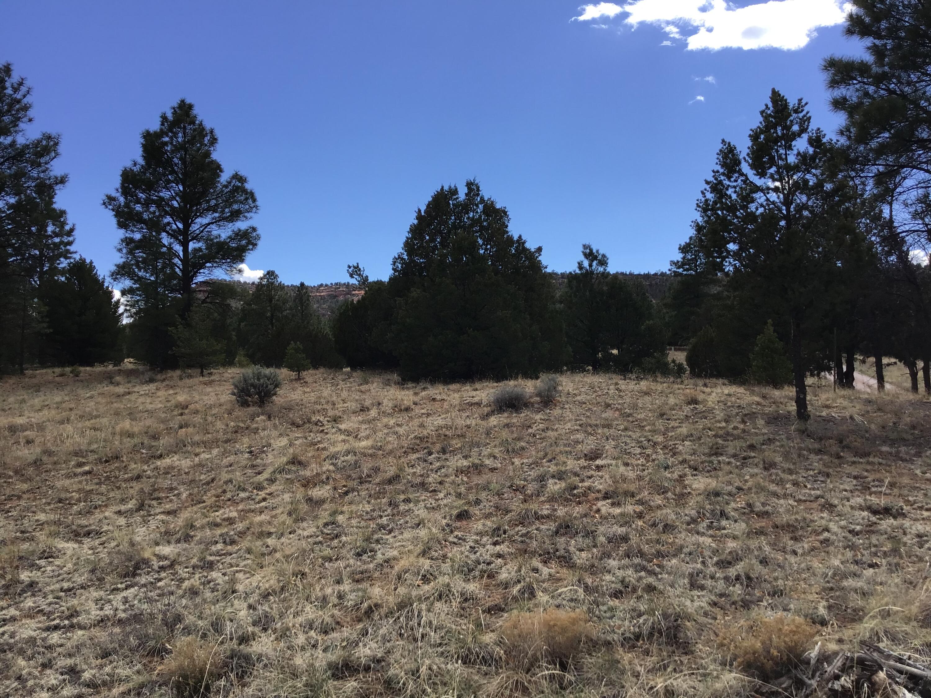Lot 28 Monte Vista Lane, Ramah, New Mexico image 32