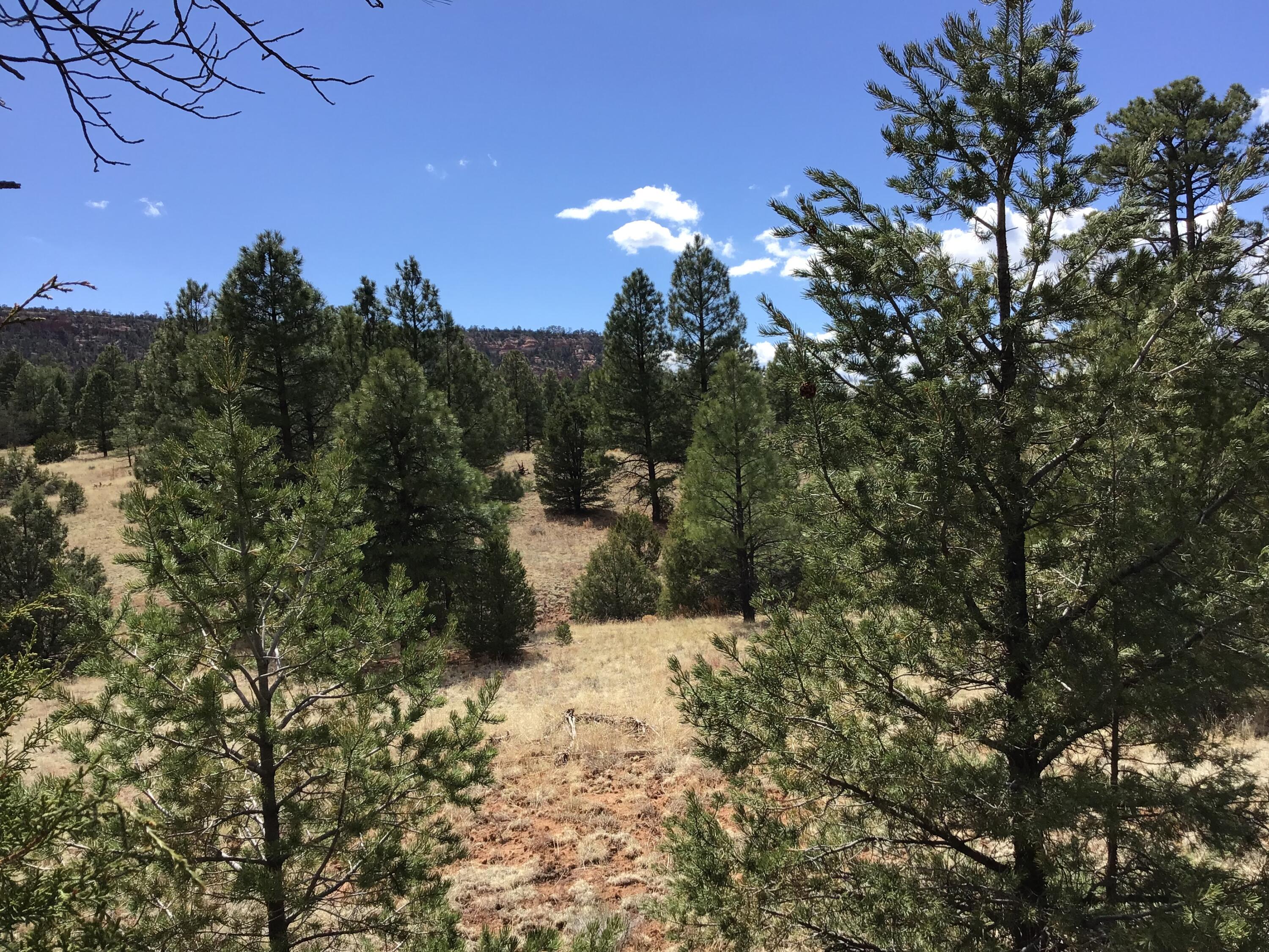 Lot 28 Monte Vista Lane, Ramah, New Mexico image 10