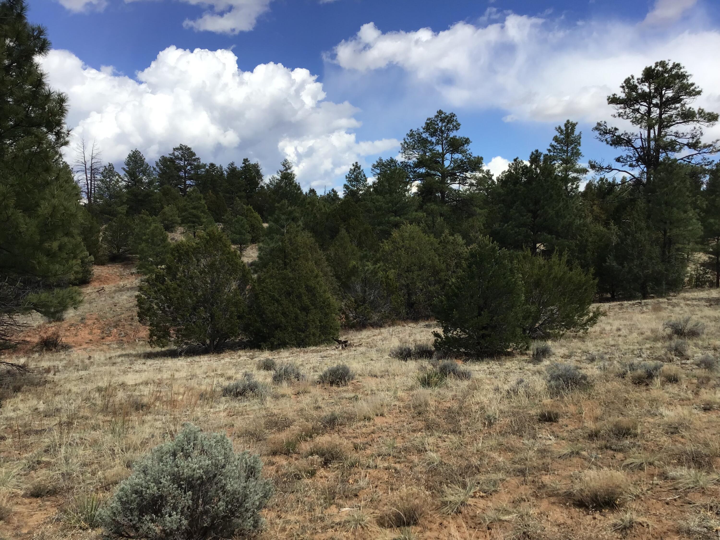 Lot 28 Monte Vista Lane, Ramah, New Mexico image 34