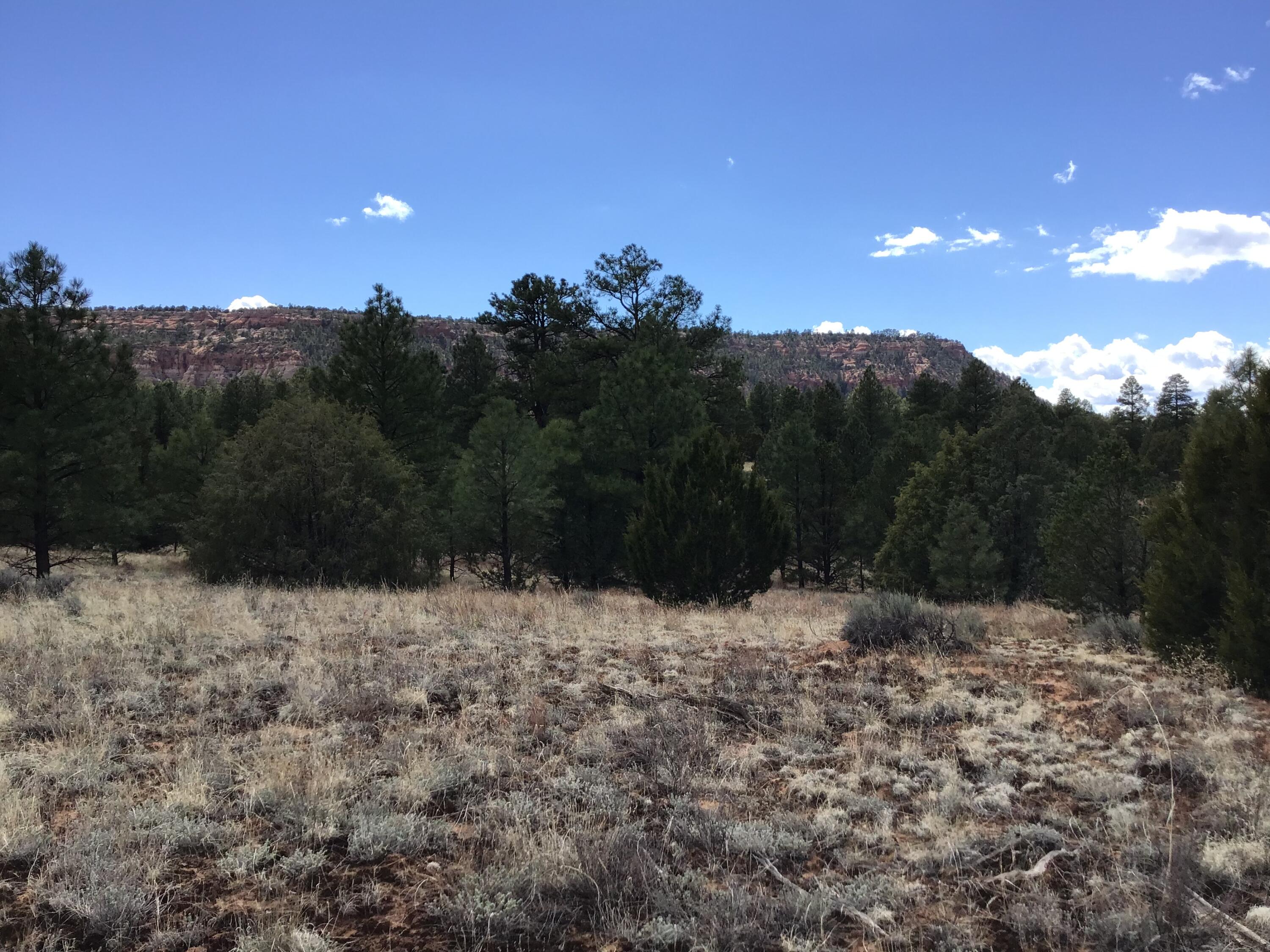 Lot 28 Monte Vista Lane, Ramah, New Mexico image 4