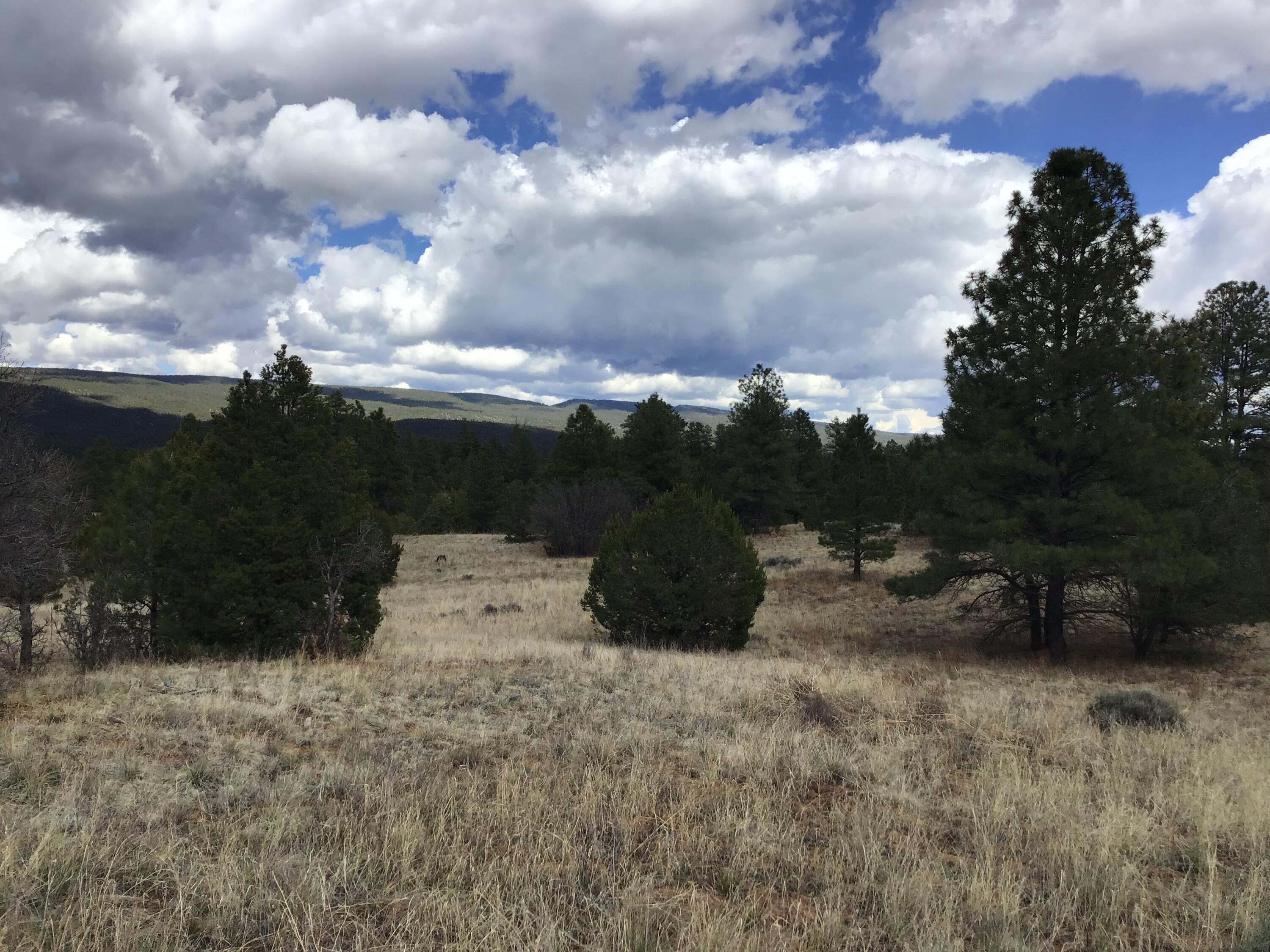 Lot 28 Monte Vista Lane, Ramah, New Mexico image 11