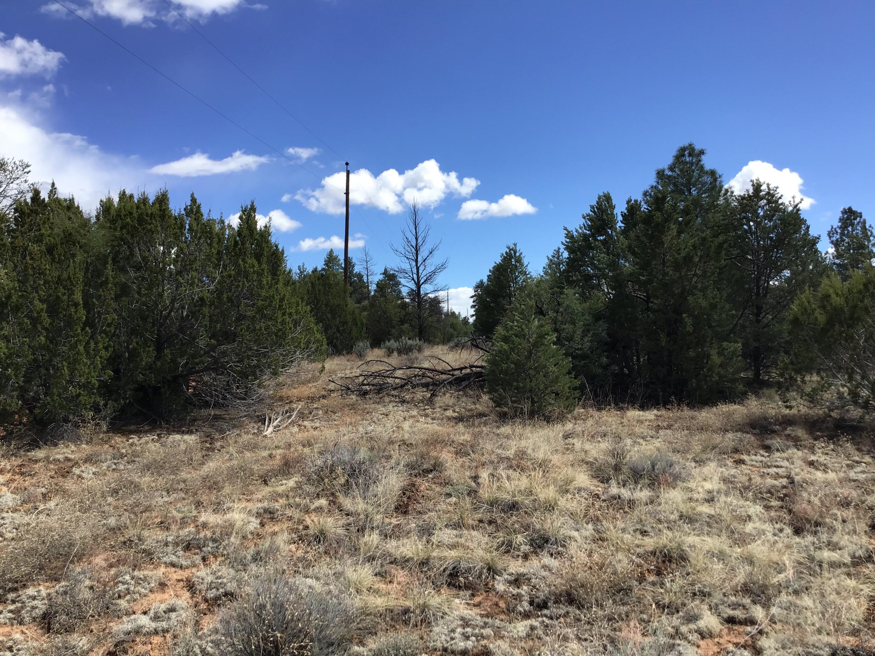 Lot 28 Monte Vista Lane, Ramah, New Mexico image 29