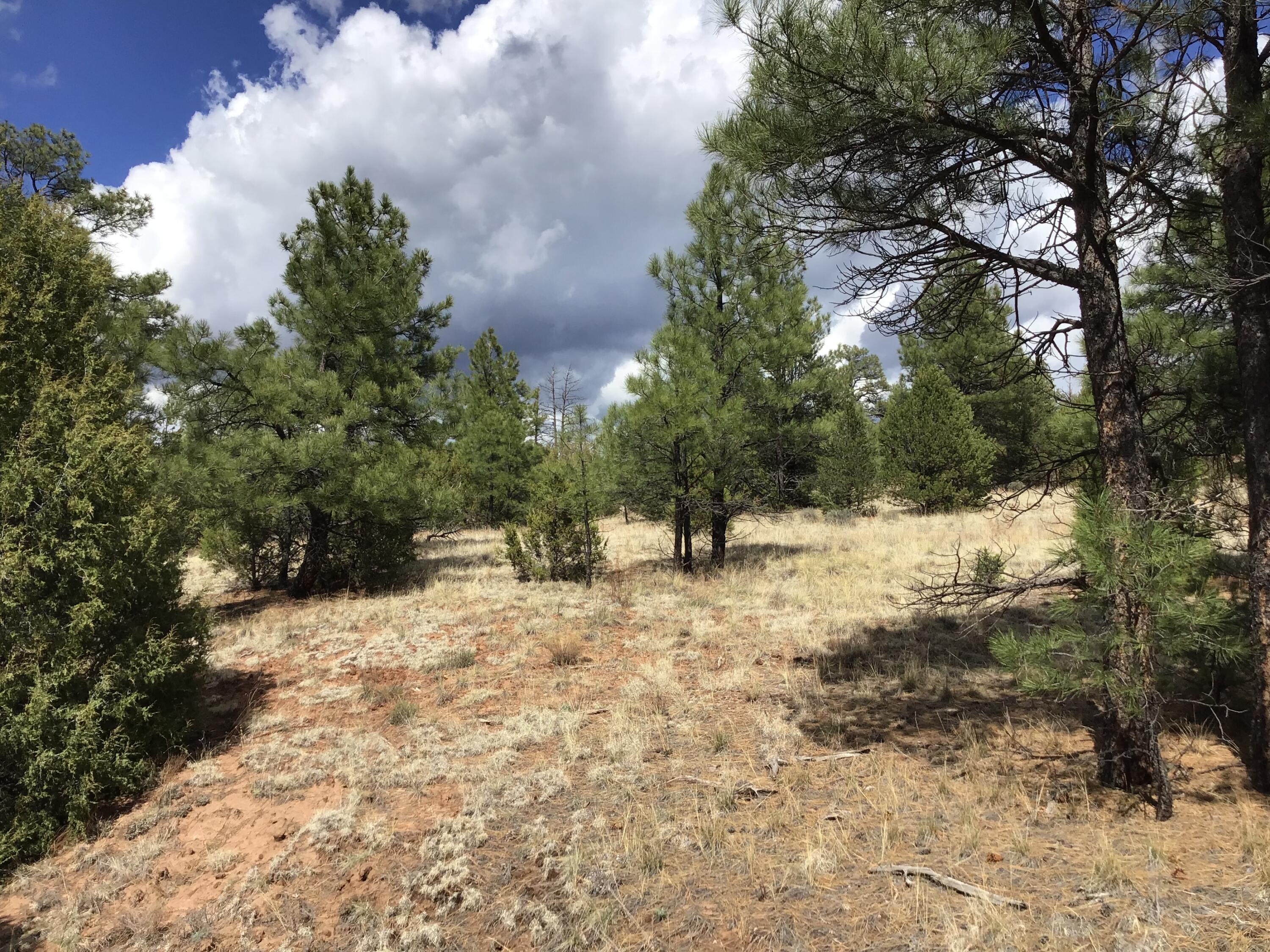Lot 28 Monte Vista Lane, Ramah, New Mexico image 17