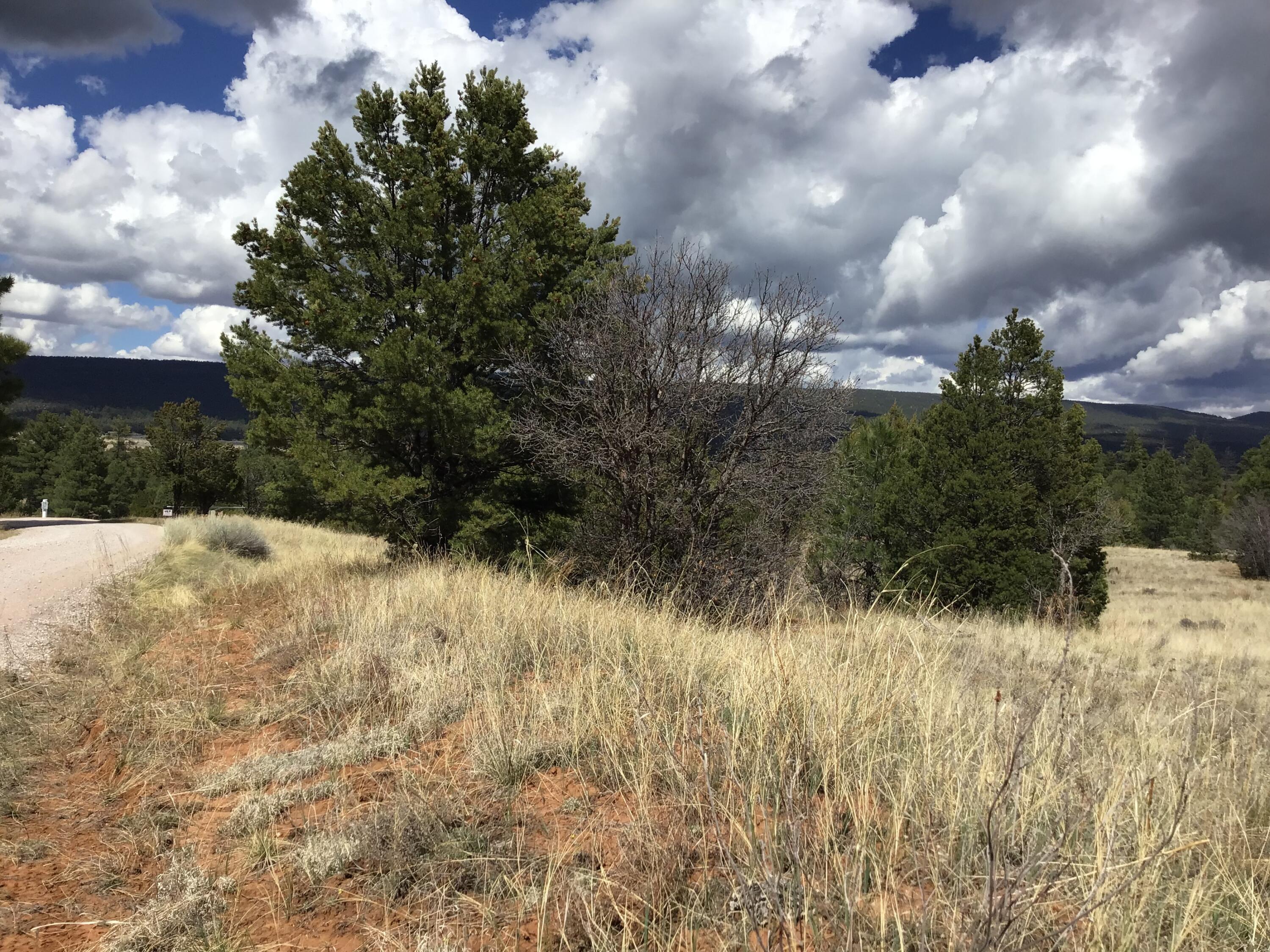 Lot 28 Monte Vista Lane, Ramah, New Mexico image 28