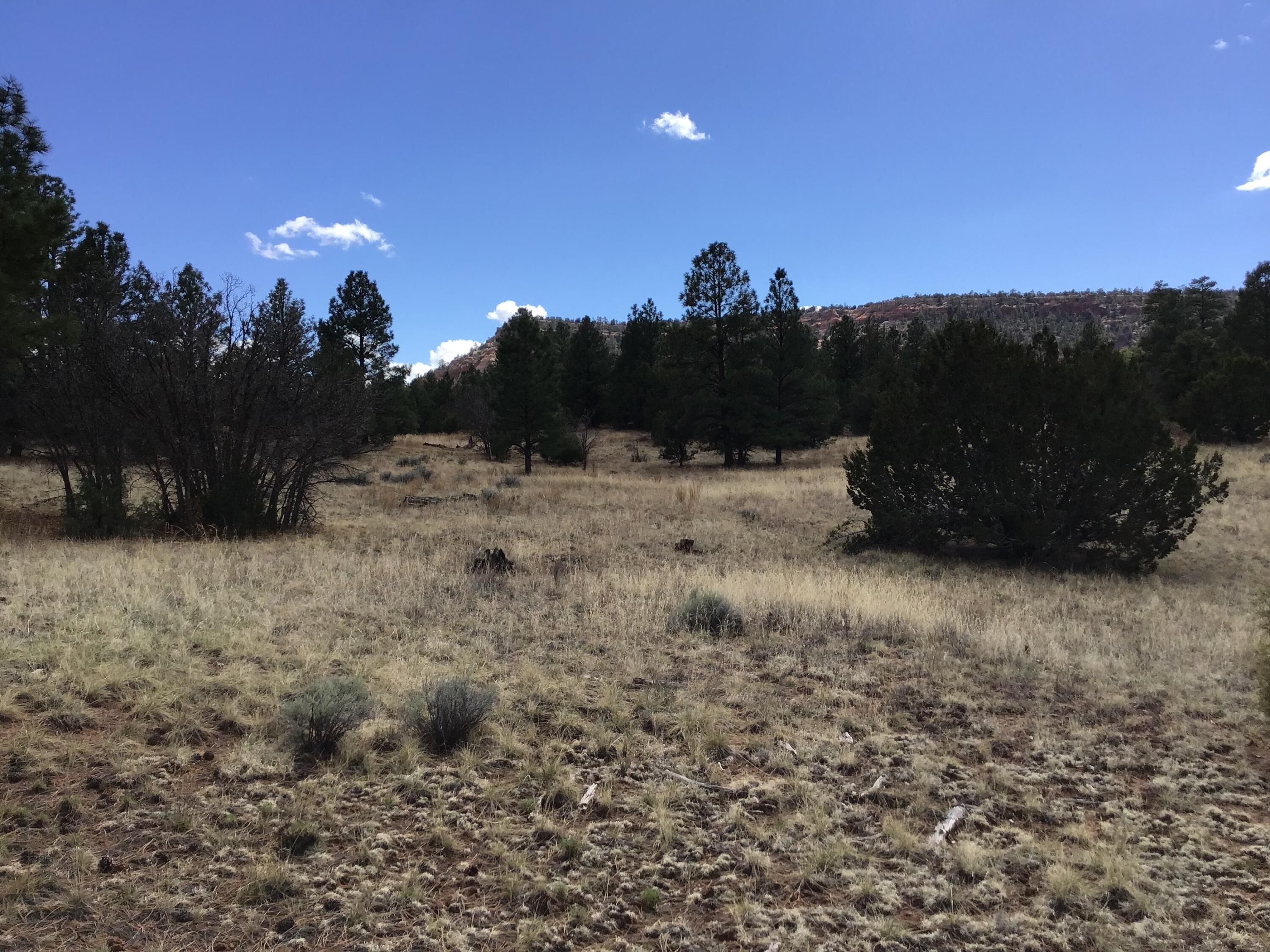 Lot 28 Monte Vista Lane, Ramah, New Mexico image 37