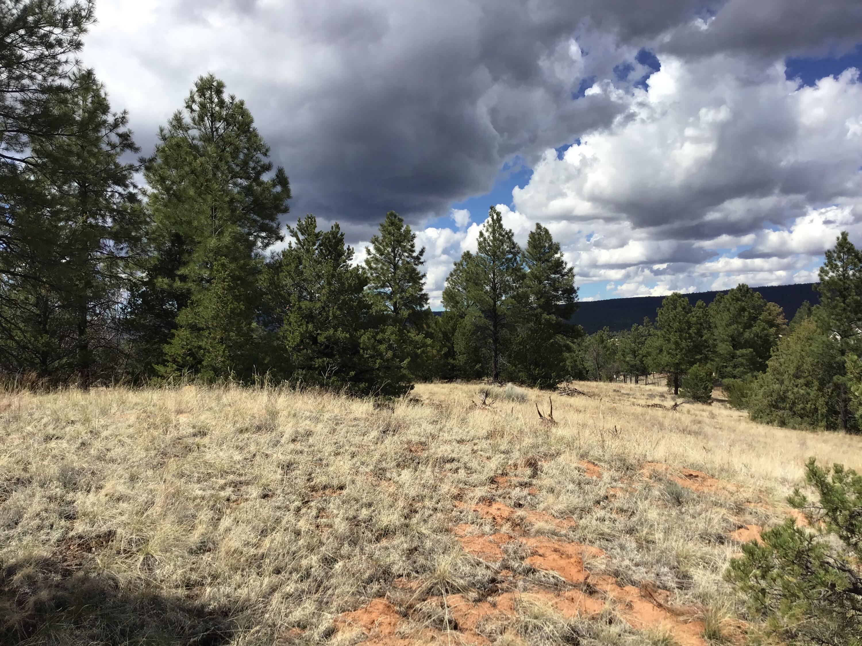 Lot 28 Monte Vista Lane, Ramah, New Mexico image 18