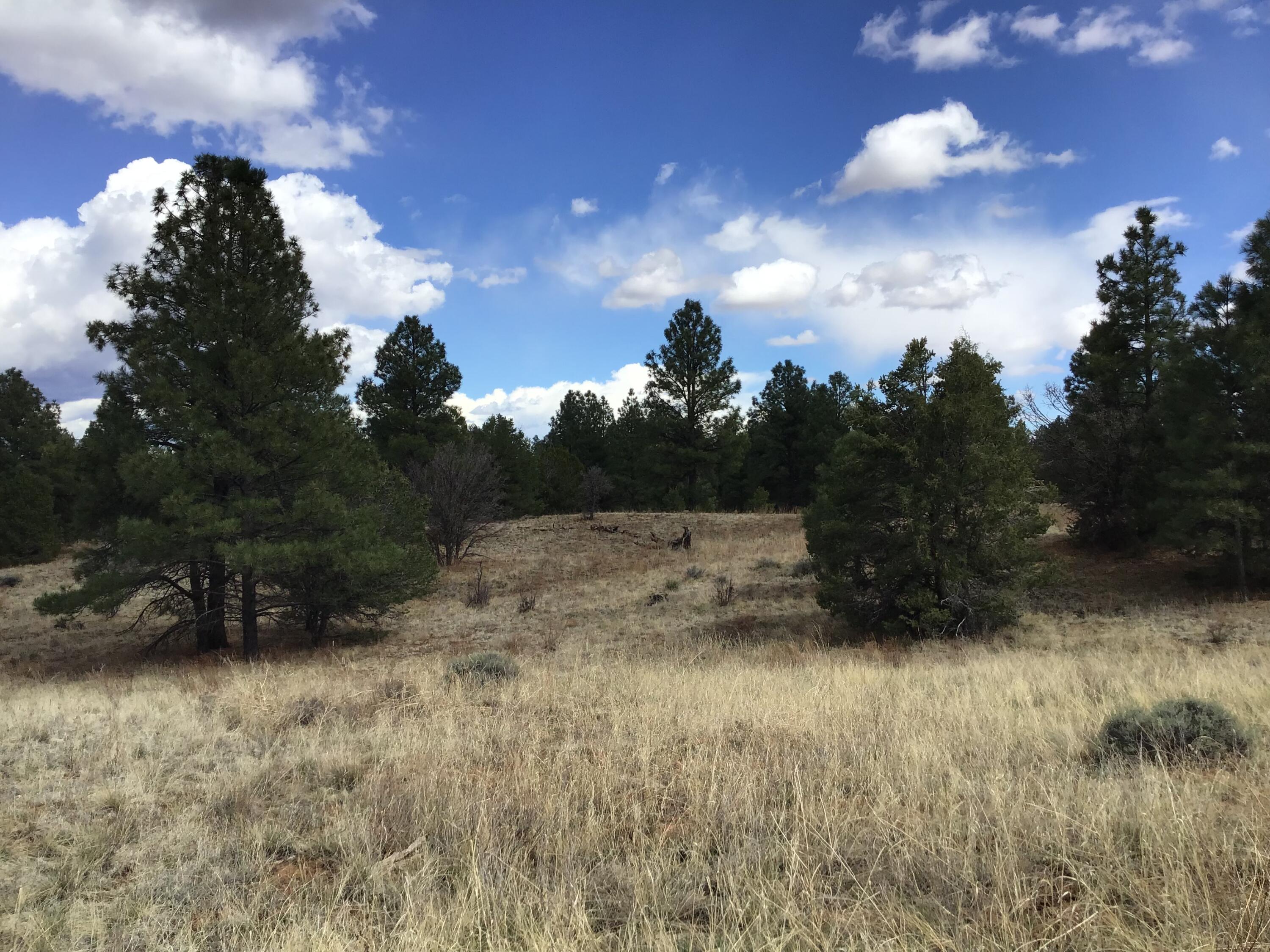 Lot 28 Monte Vista Lane, Ramah, New Mexico image 42
