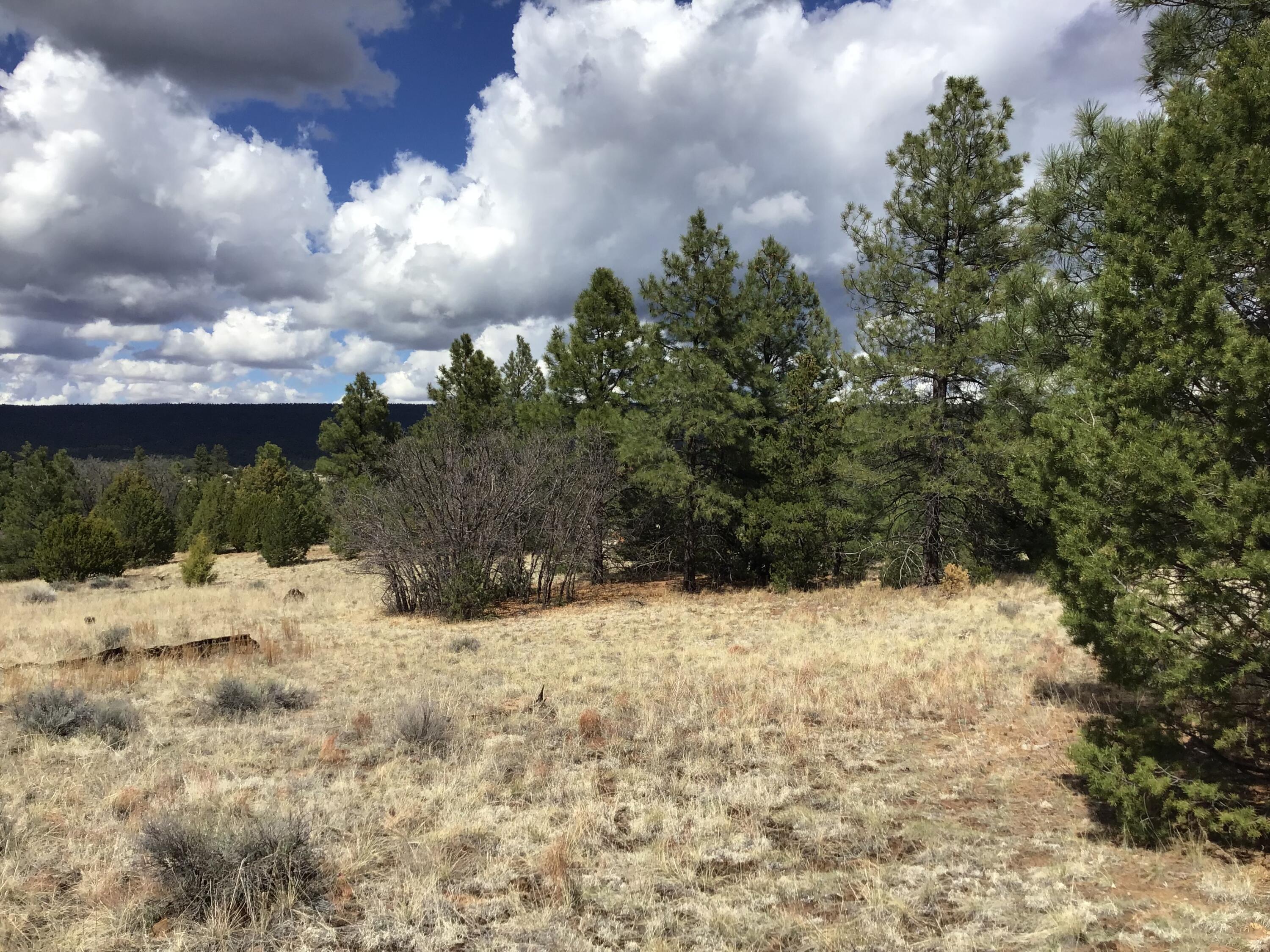 Lot 28 Monte Vista Lane, Ramah, New Mexico image 23