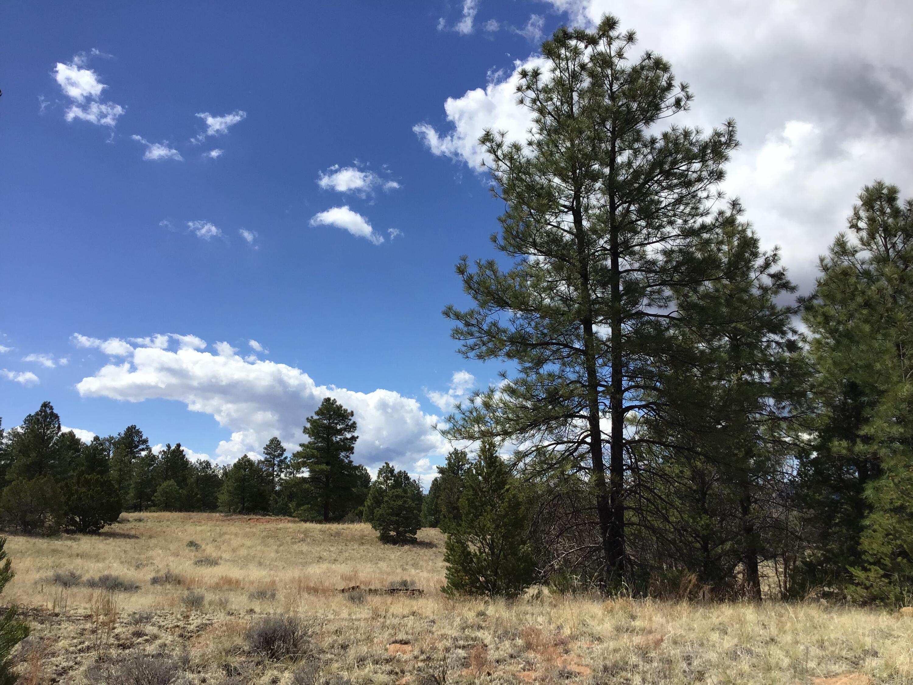 Lot 28 Monte Vista Lane, Ramah, New Mexico image 20
