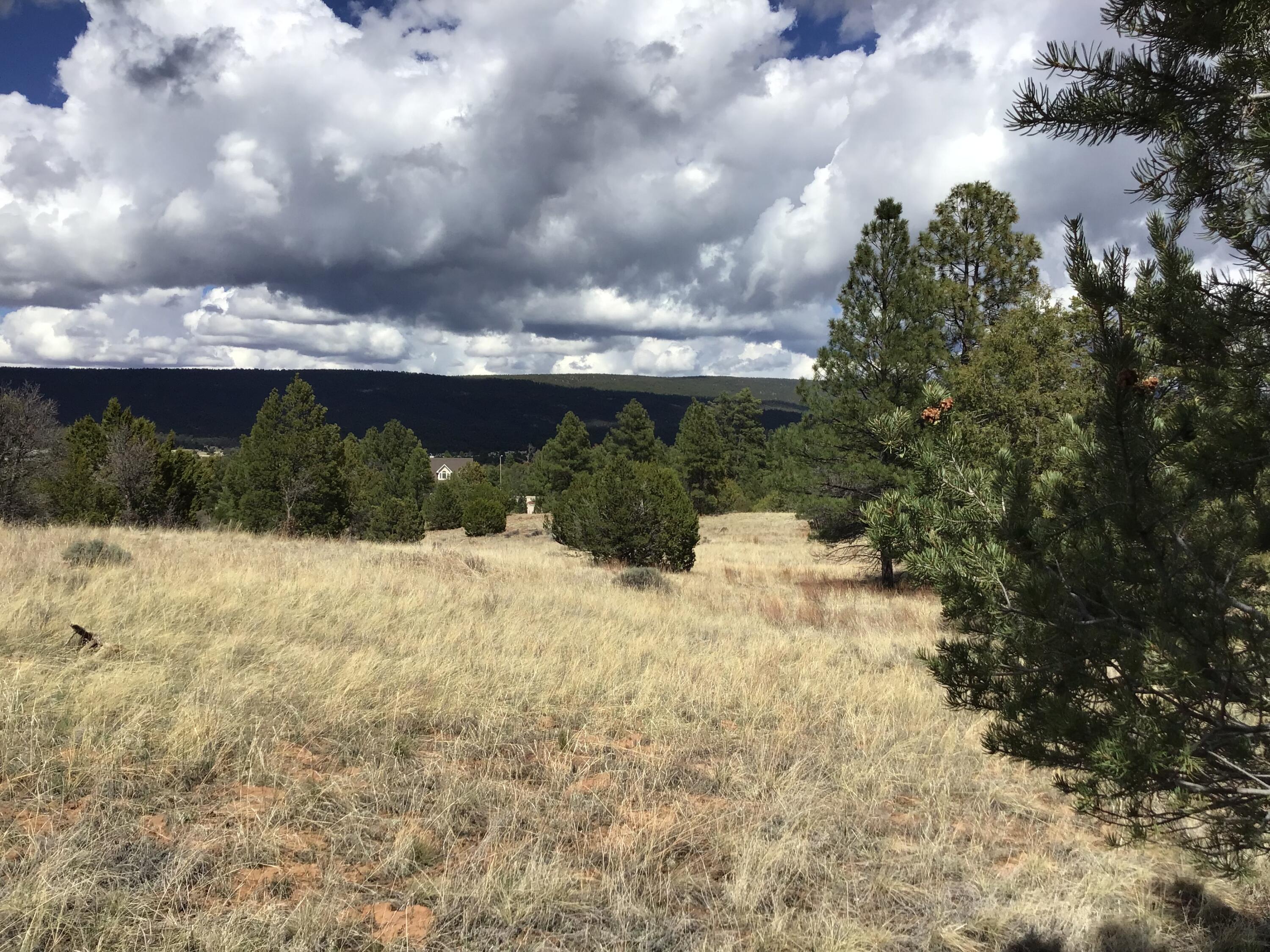 Lot 28 Monte Vista Lane, Ramah, New Mexico image 27