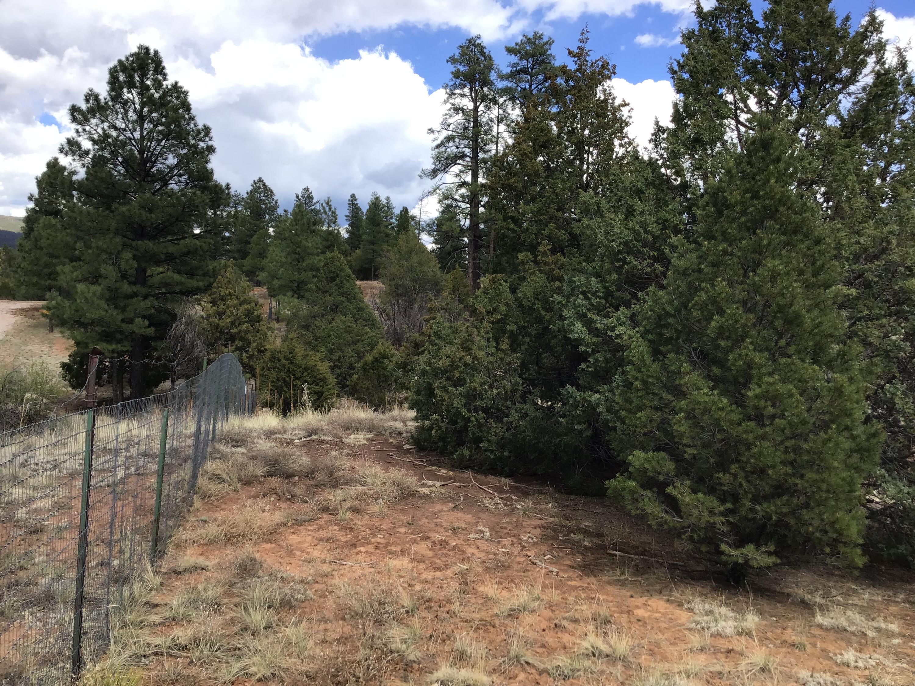 Lot 28 Monte Vista Lane, Ramah, New Mexico image 31