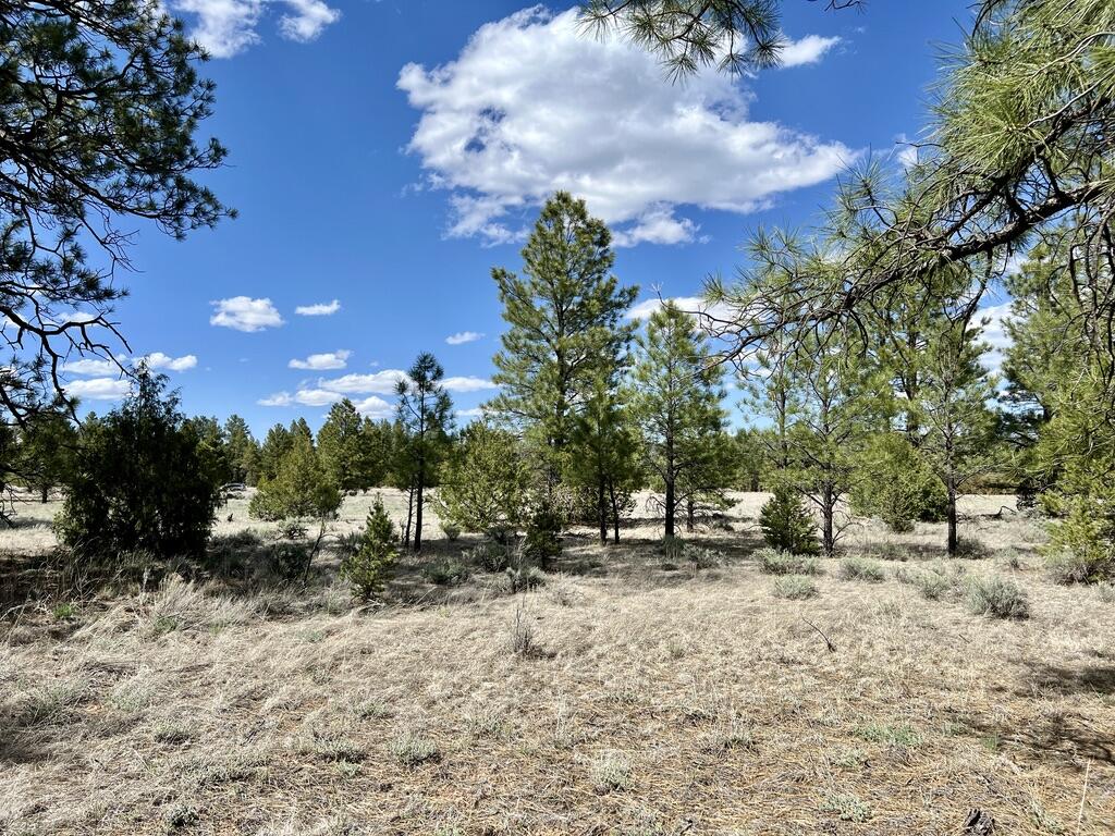 Lot 5 Sagebrush Road, Ramah, New Mexico image 50