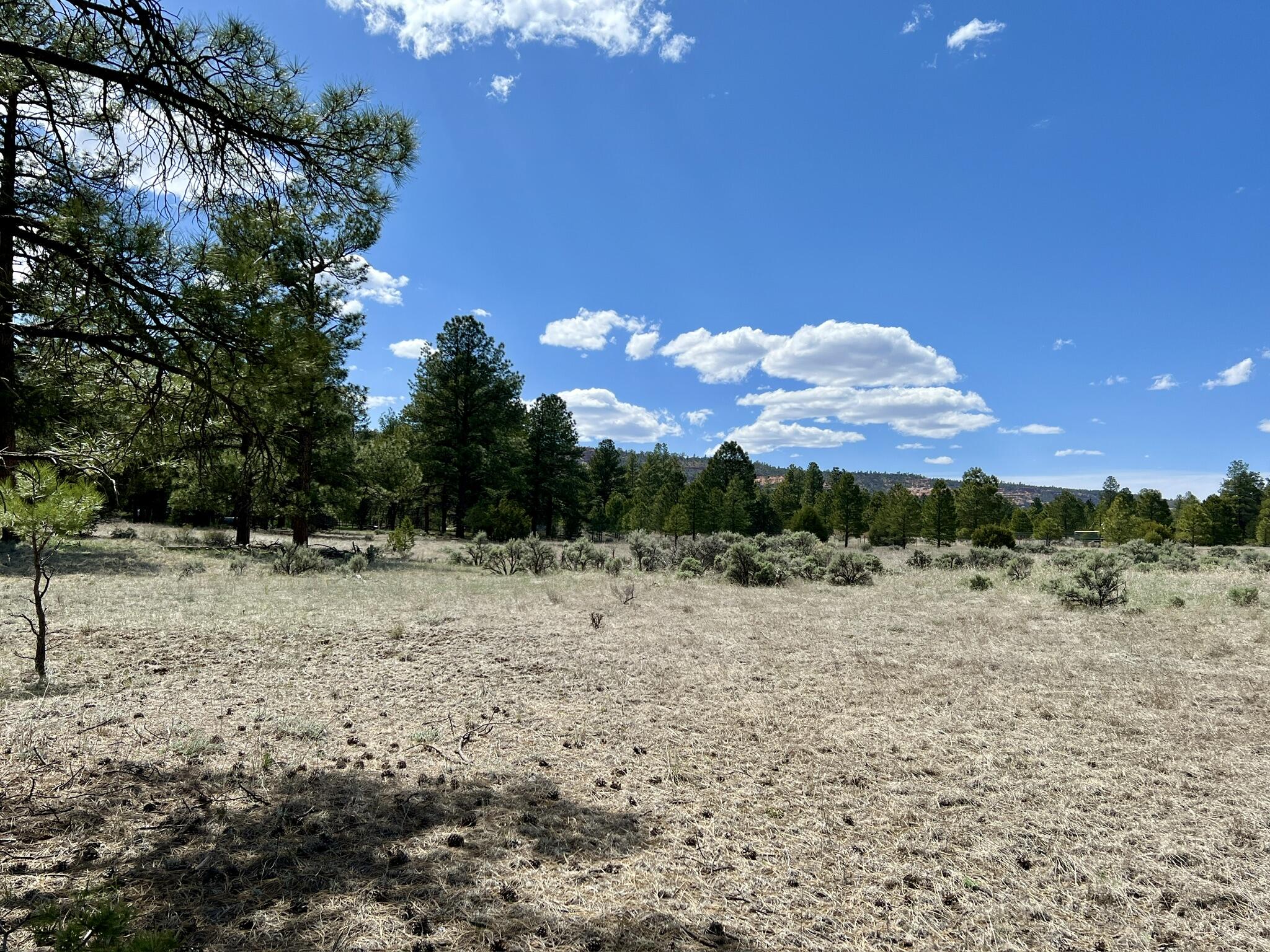 Lot 5 Sagebrush Road, Ramah, New Mexico image 38