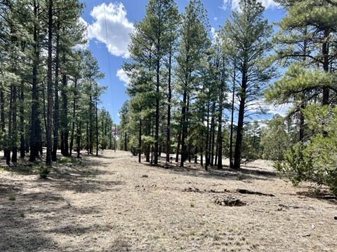 Lot 5 Sagebrush Road, Ramah, New Mexico image 48