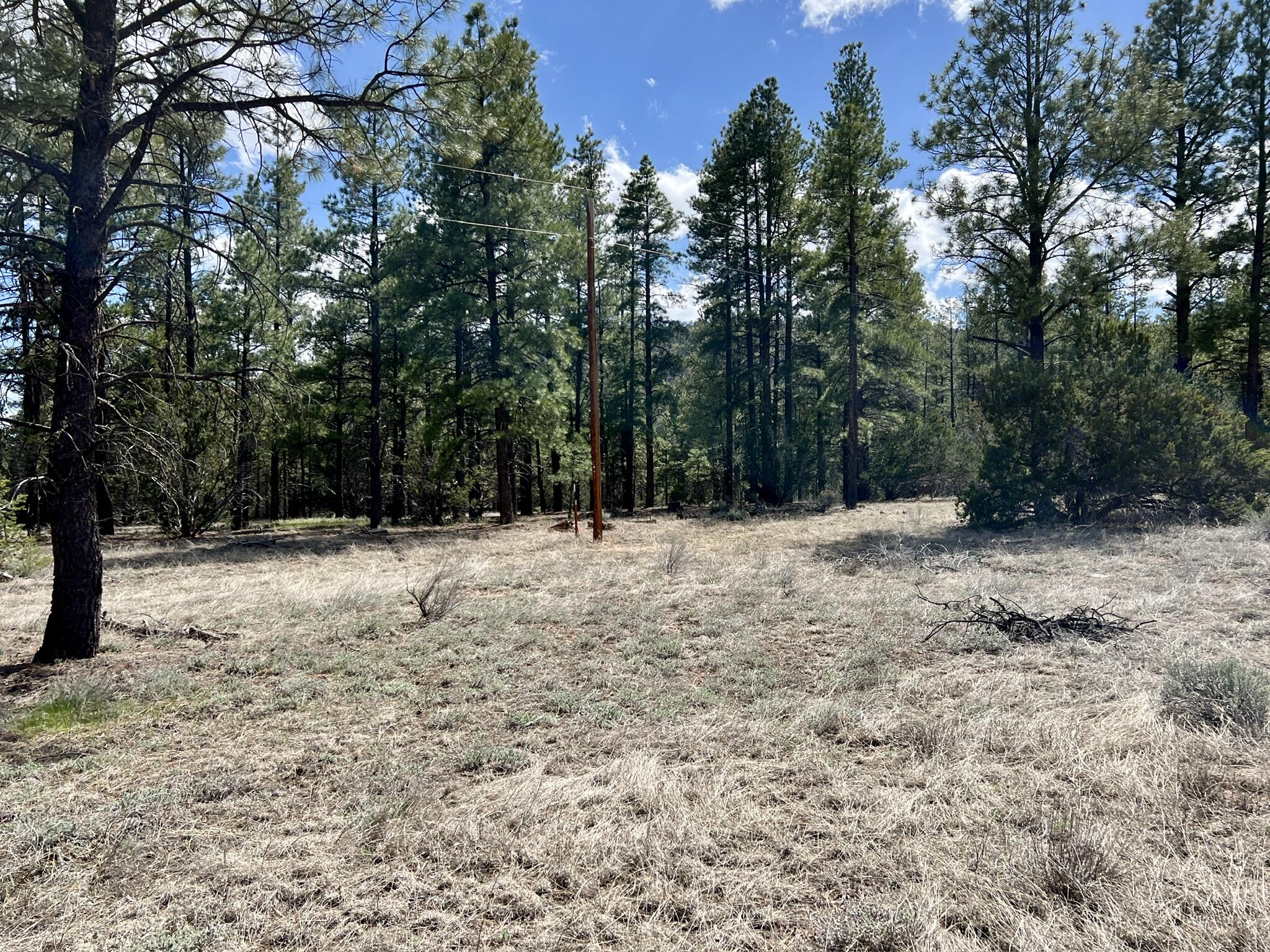 Lot 5 Sagebrush Road, Ramah, New Mexico image 44