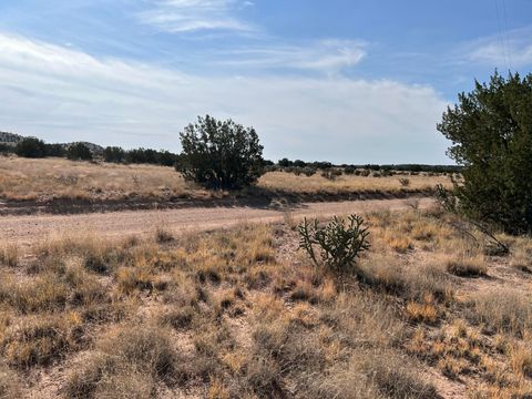 Vacant Land For Sale - LOT 3904 Blk 1 Valle De Manana<br/> Socorro County, Socorro, NM 87801
