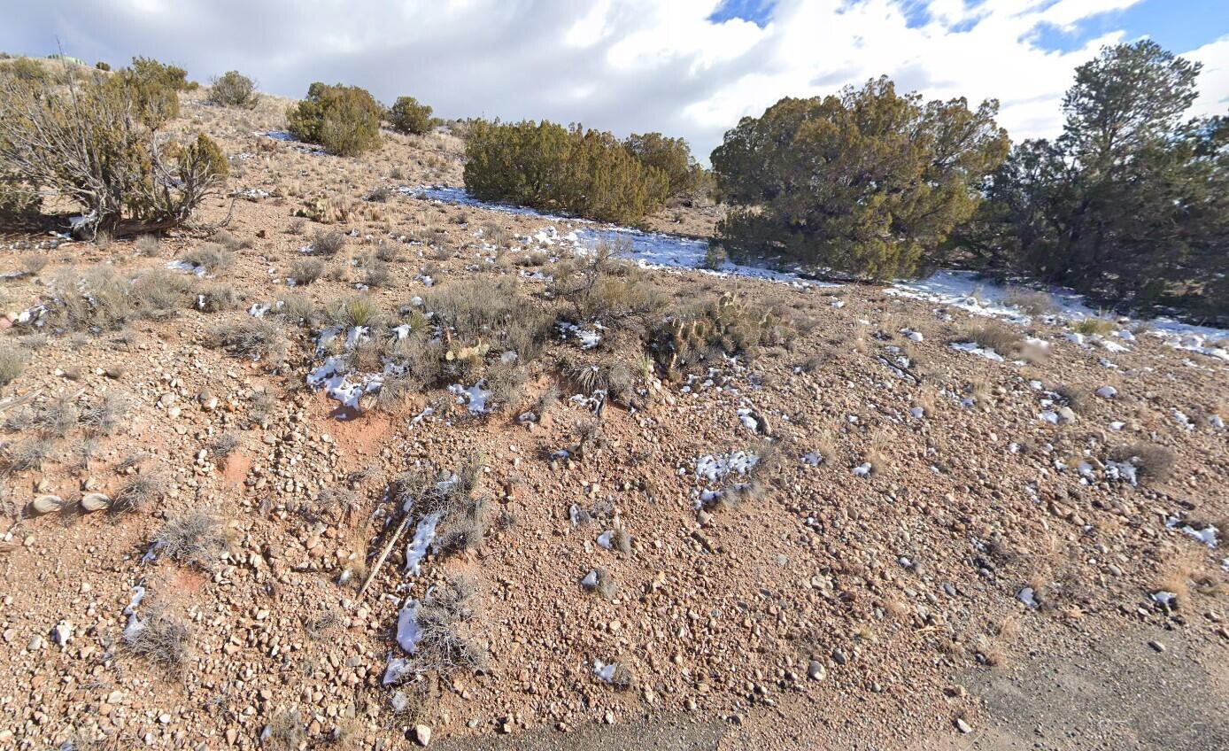 Yucca Lane, Placitas, New Mexico image 1