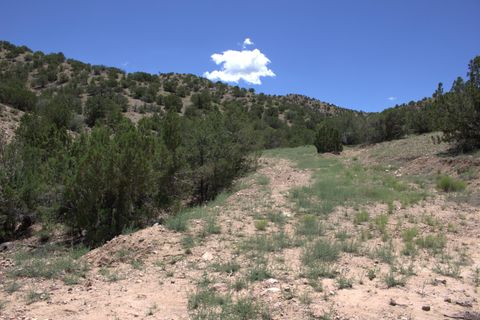 Vacant Land For Sale - Tres Amigos<br/> Placitas, NM 87043