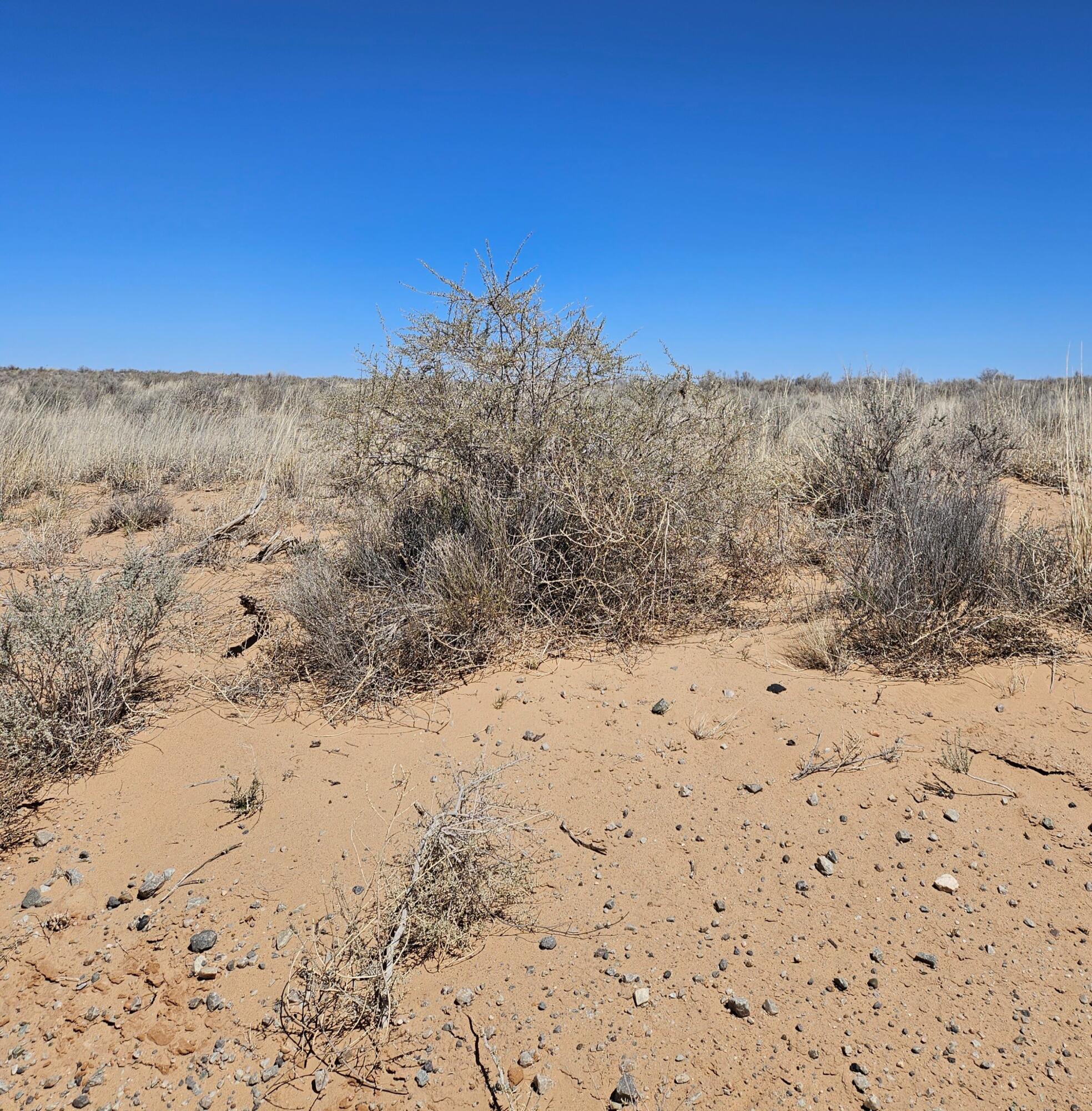 Tbd Near Roundhouse Road, Belen, New Mexico image 1