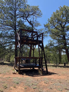 53 Little Arrow Trail, Grants, New Mexico image 17