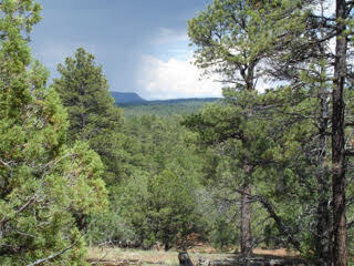 53 Little Arrow Trail, Grants, New Mexico image 3