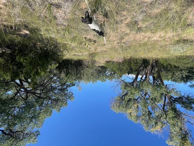 Hwy 142, Medanales, New Mexico image 45