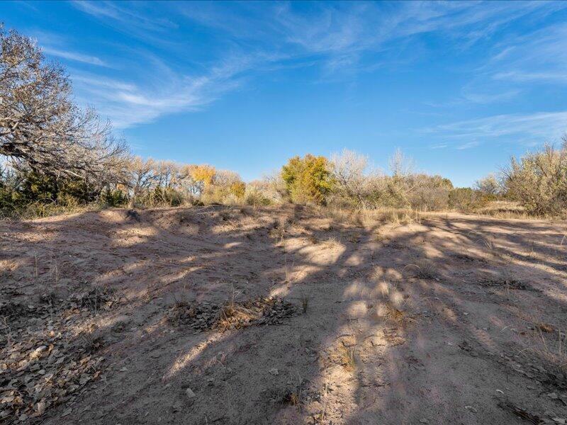 Hwy 142, Medanales, New Mexico image 20