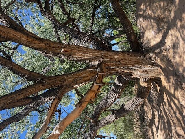 Hwy 142, Medanales, New Mexico image 50
