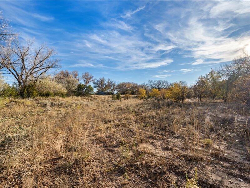 Hwy 142, Medanales, New Mexico image 17