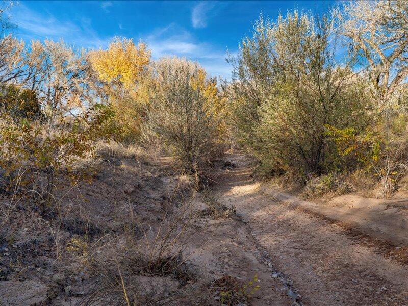 Hwy 142, Medanales, New Mexico image 35