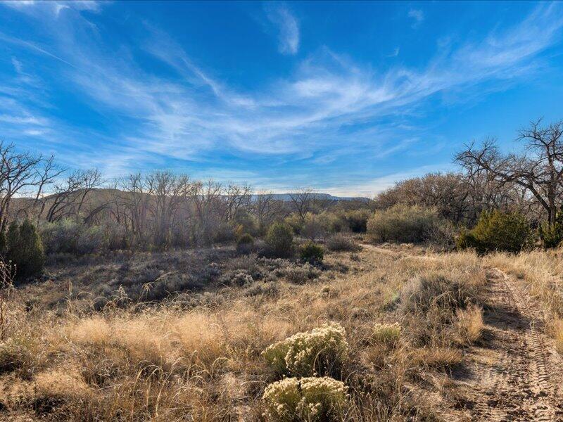 Hwy 142, Medanales, New Mexico image 23