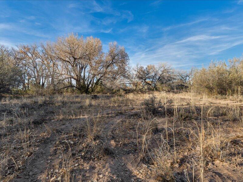 Hwy 142, Medanales, New Mexico image 26