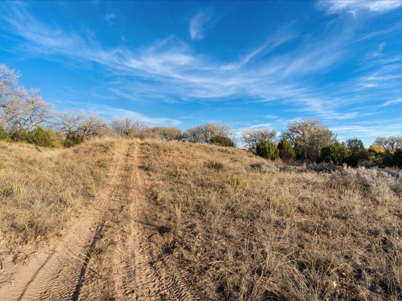 Hwy 142, Medanales, New Mexico image 24