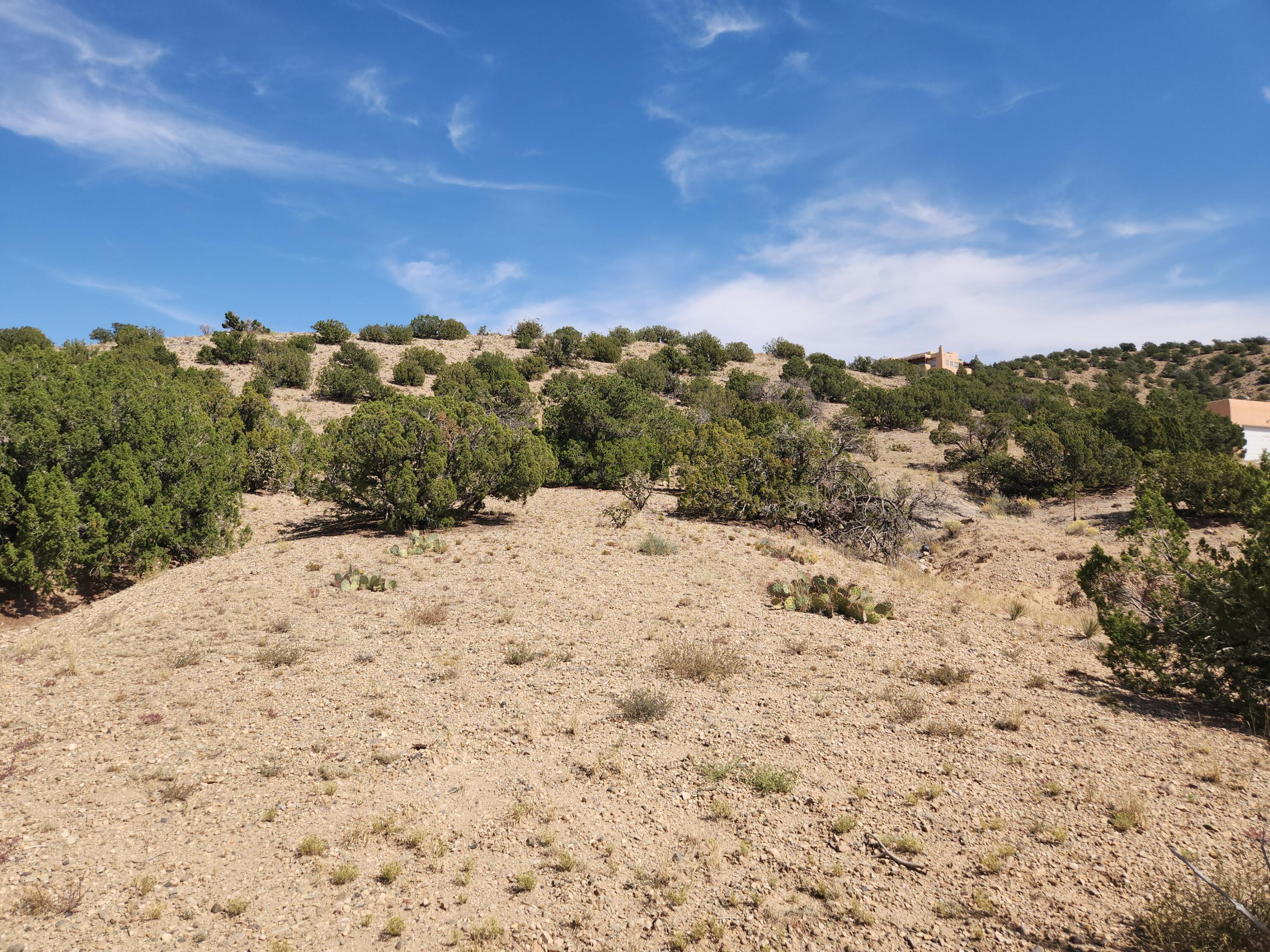 154 Camino De Las Huertas, Placitas, New Mexico image 8